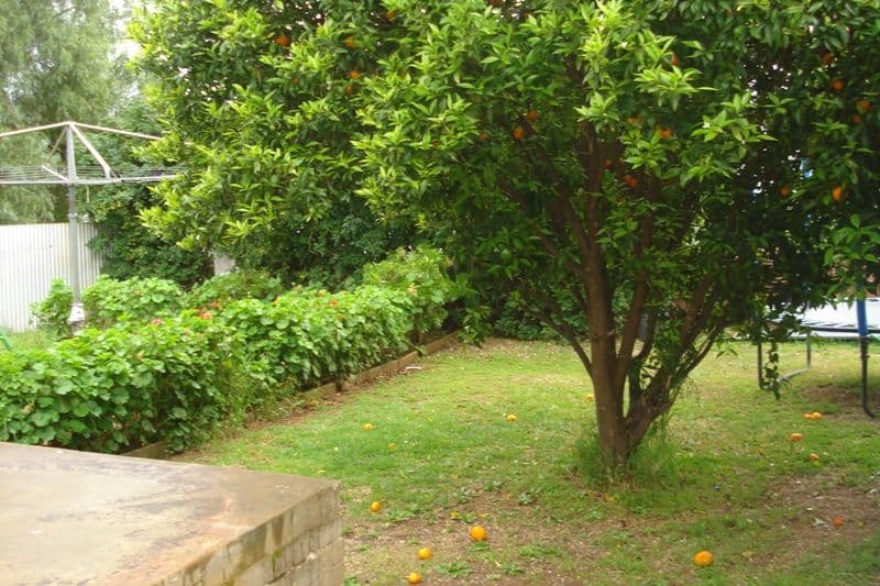 11 and 13 Daniel Street, ELIZABETH PARK SA 5113, Elizabeth Park - Thumbnail 7
