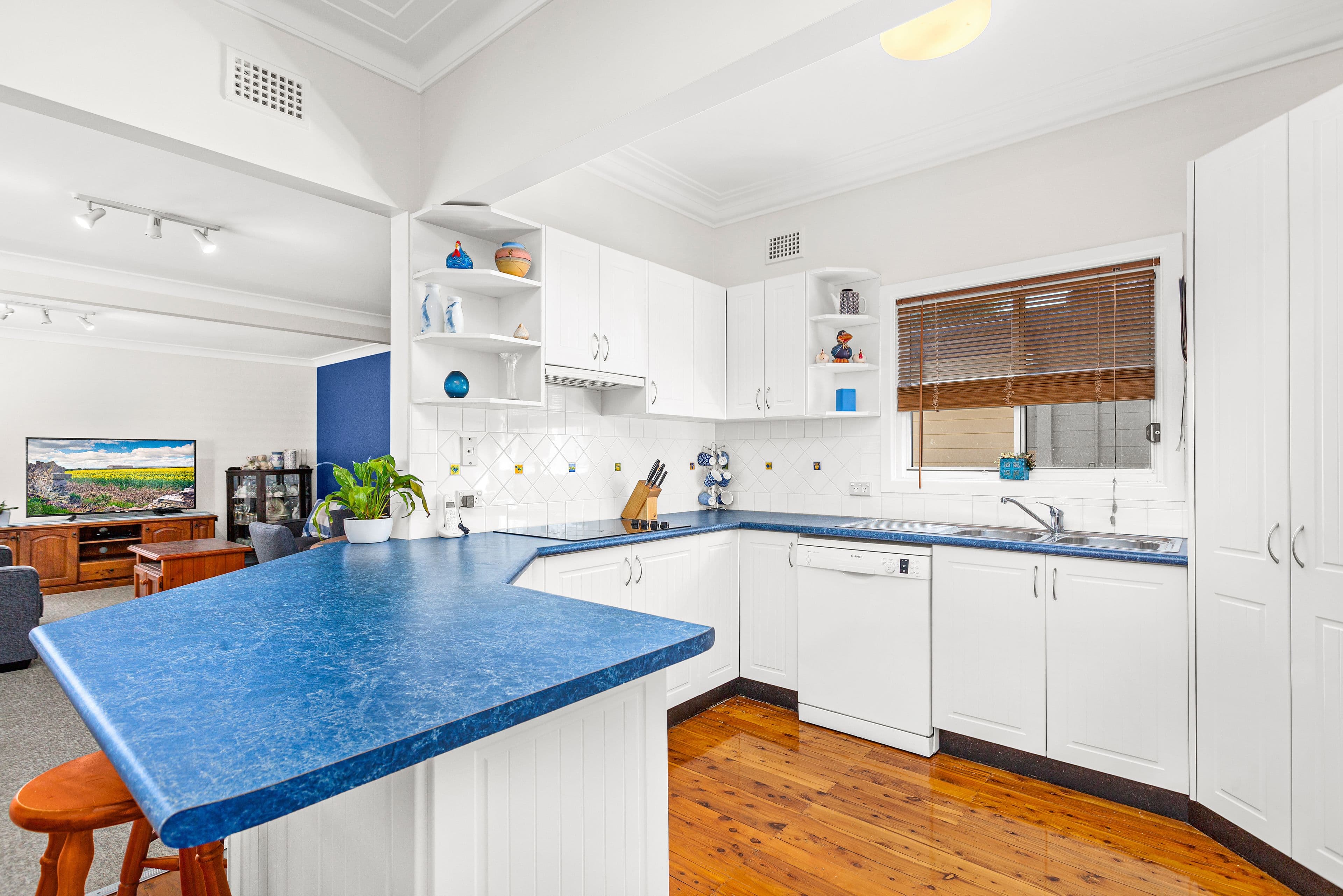 117 Banksia Avenue, Engadine - Thumbnail 2