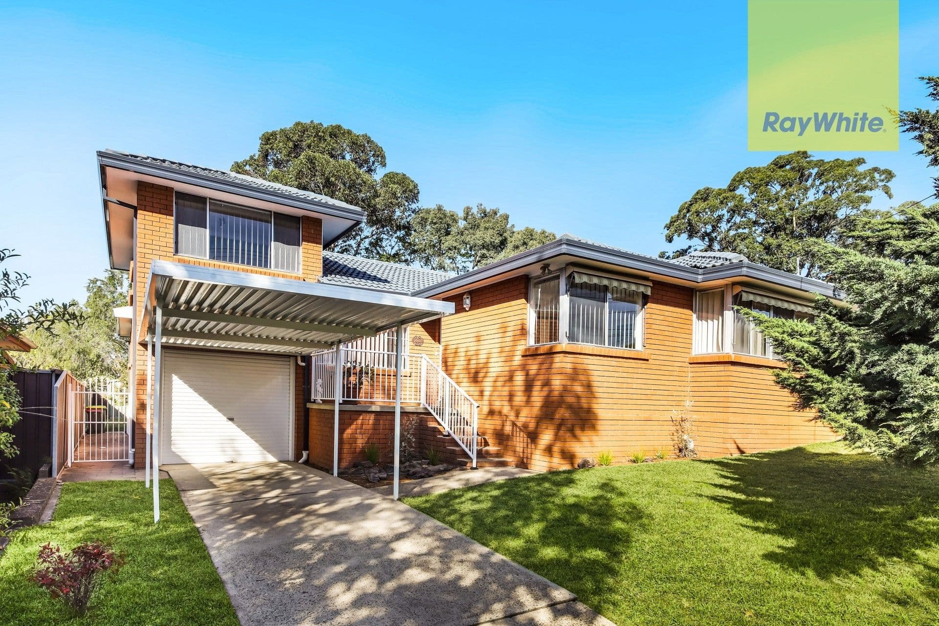 53 Disraeli Road, Winston Hills - Image 1