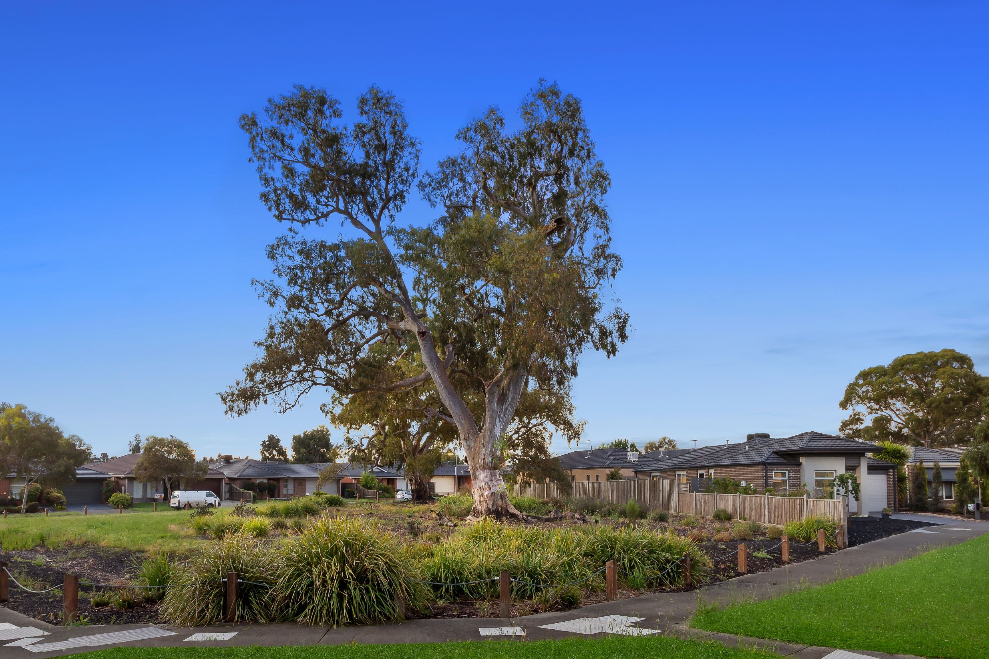 41 Sissinghurst Parade, Mernda VIC 3754, Mernda - Thumbnail 3