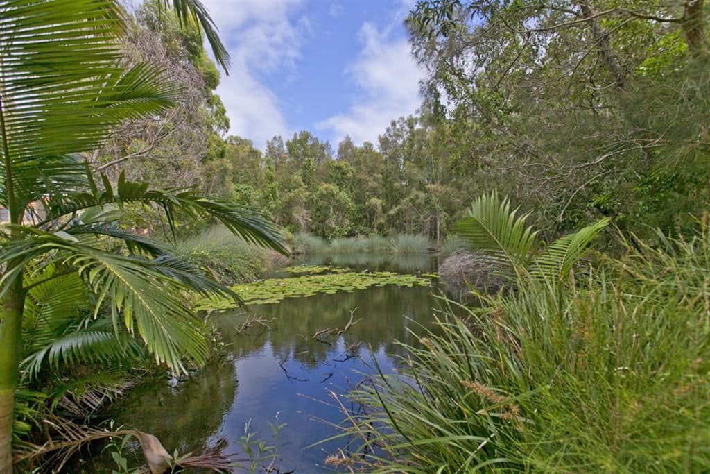 (Lot 104) 8-10 McLeod Street, CLEVELAND QLD 4163, Cleveland - Thumbnail 4