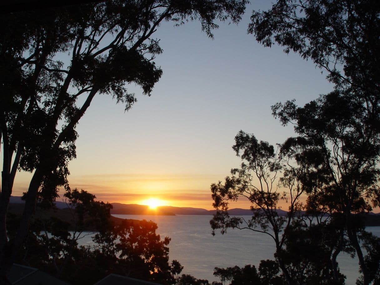 16 Sunset Waters, 3 Banksia Court, HAMILTON ISLAND QLD 4803, Hamilton Island - Image 1