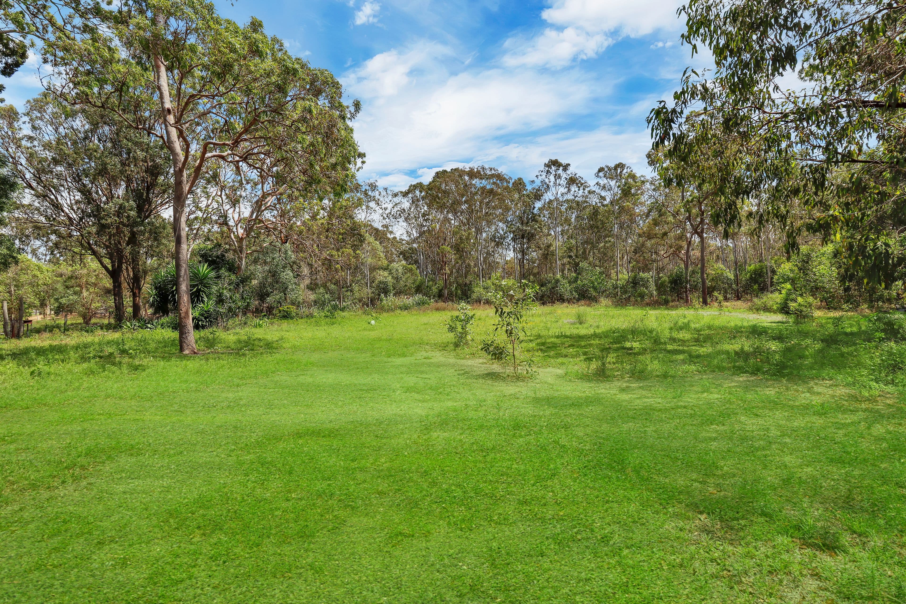 24 Curran Street, Booral QLD 4655, Booral - Thumbnail 4