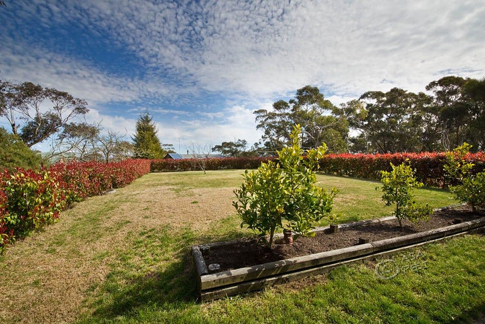 106 Victoria Street, Mount Victoria - Thumbnail 4