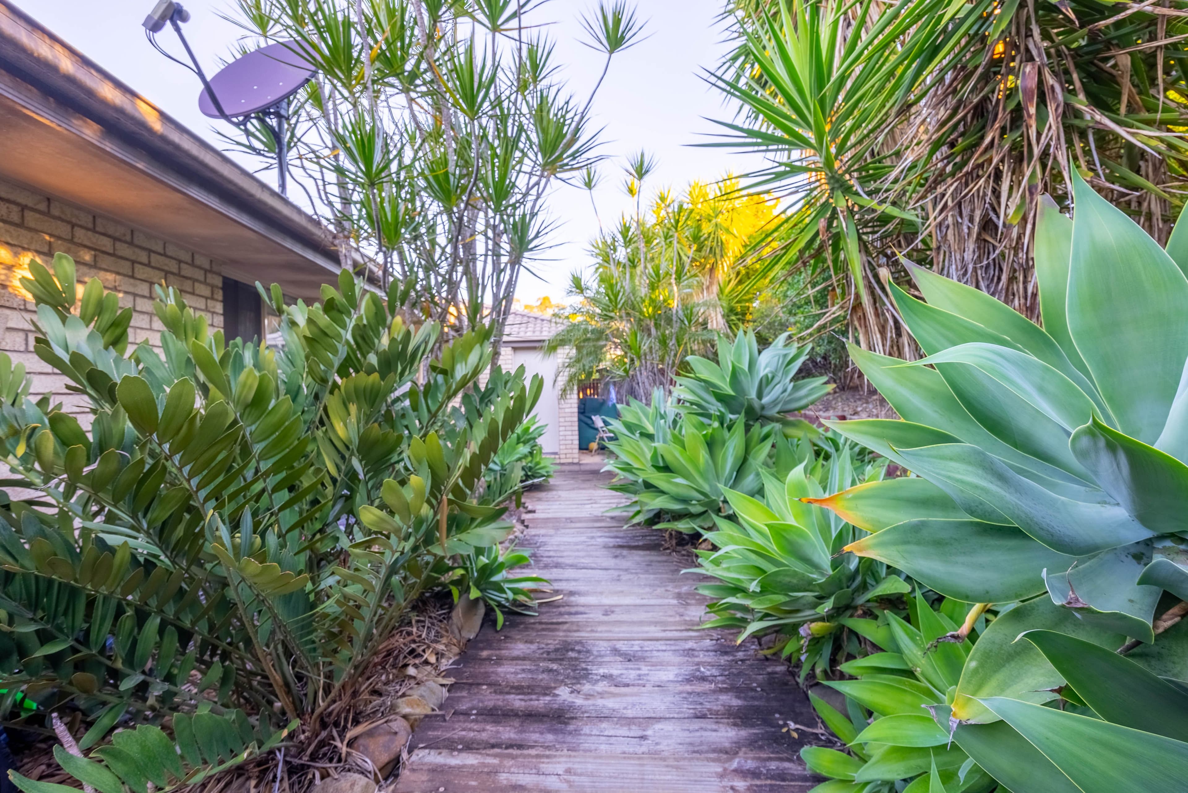 3 Macswiney Street, Collingwood Park QLD 4301, Collingwood Park - Thumbnail 3