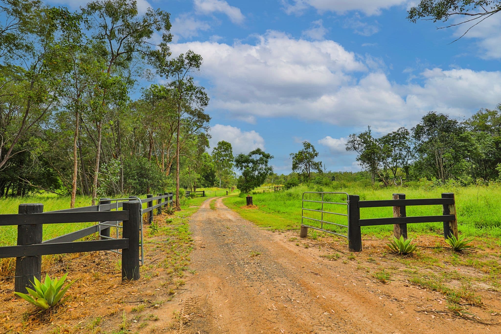 380 Short Cut Road, Delan QLD 4671, Delan - Thumbnail 3