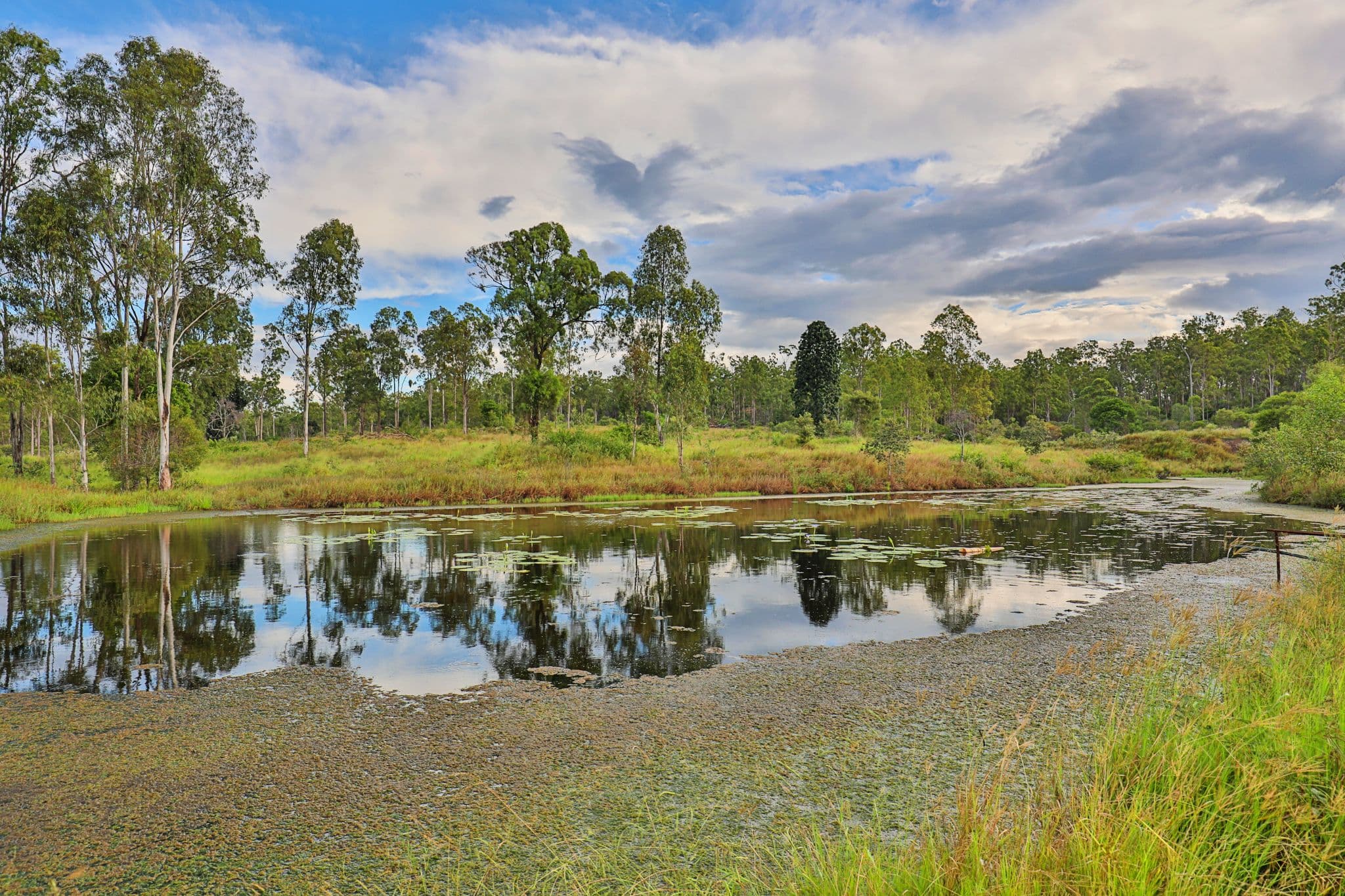 380 Short Cut Road, Delan QLD 4671, Delan - Thumbnail 4