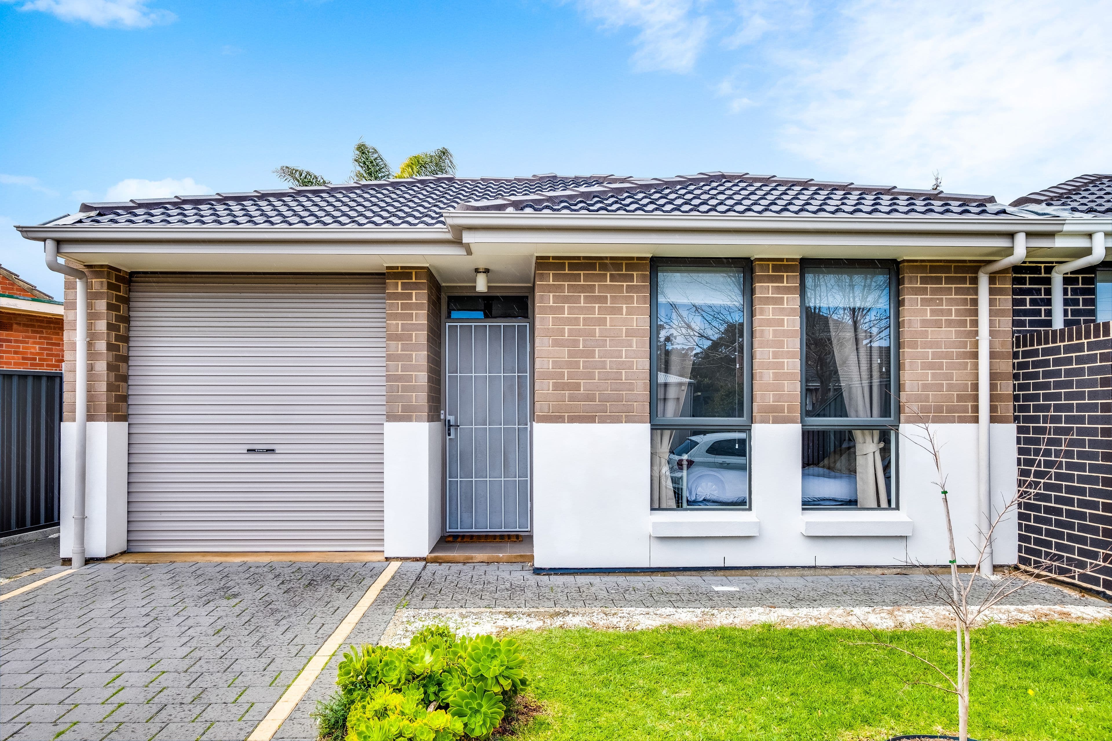 4 Ragless Avenue, Park Holme SA 5043, Park Holme - Image 1