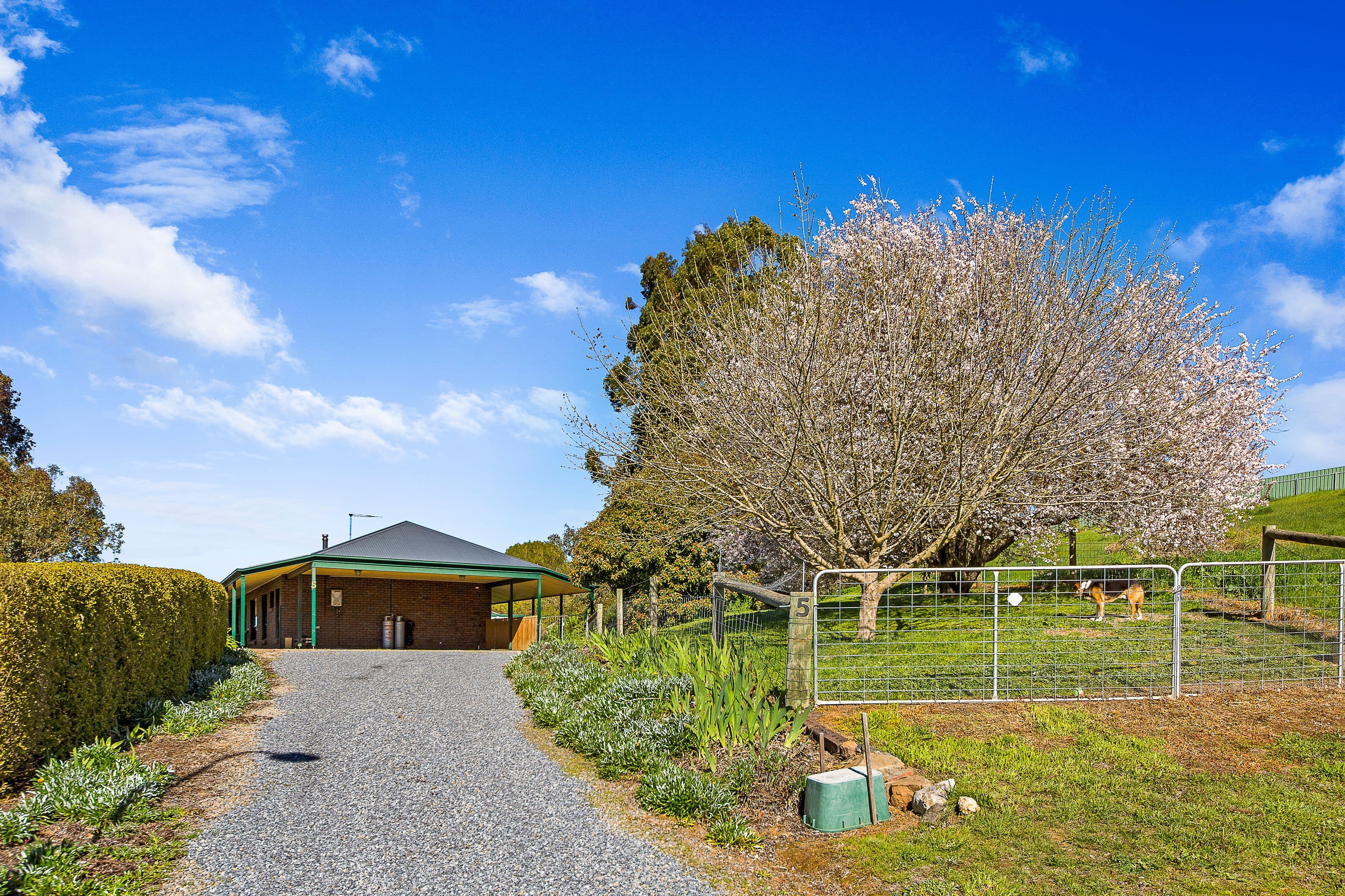 5 Lungenmuss Court, Nairne SA 5252, Nairne - Thumbnail 3