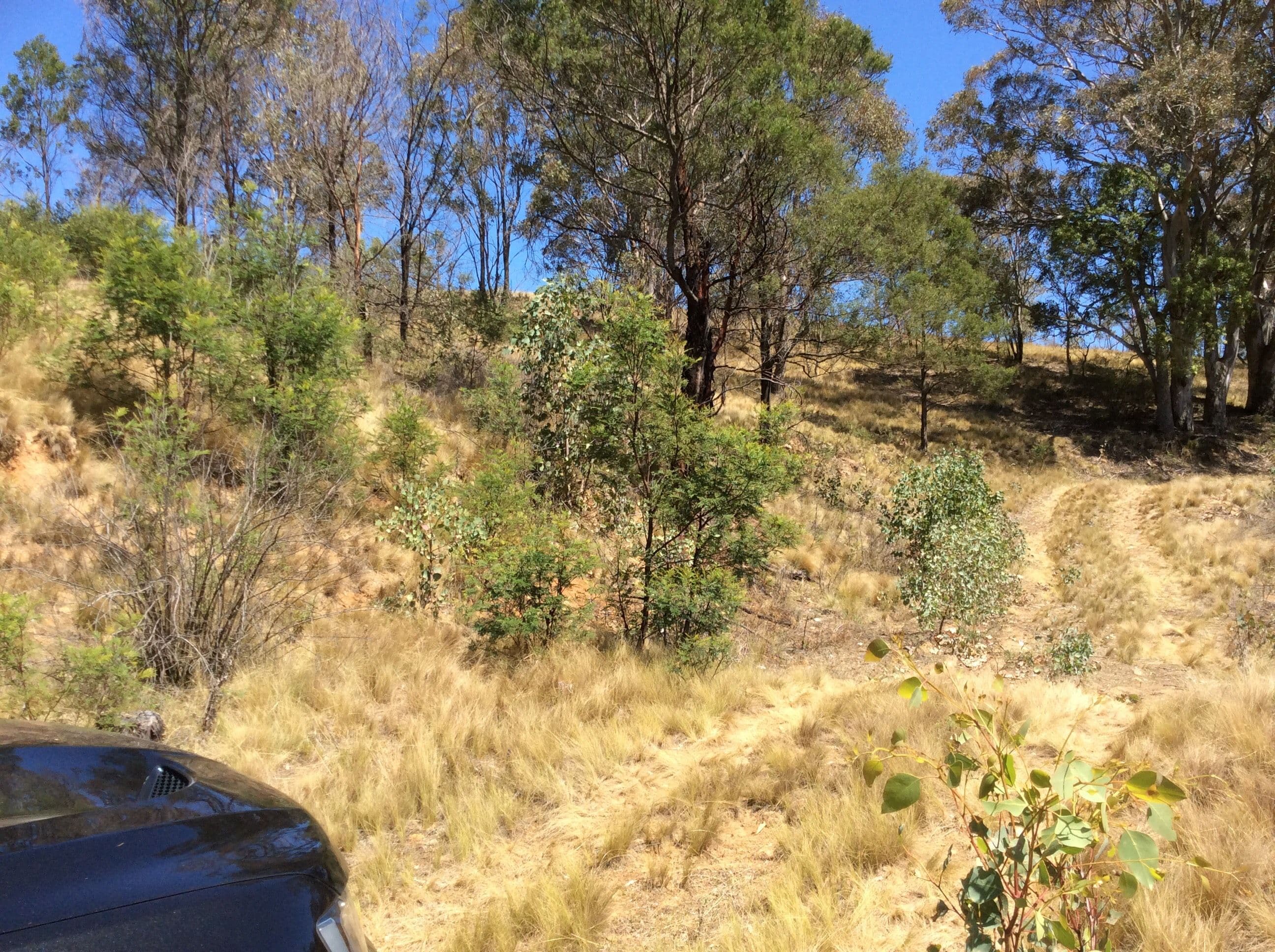 706 Newfoundland Road, Bannaby NSW 2580, Bannaby - Thumbnail 4