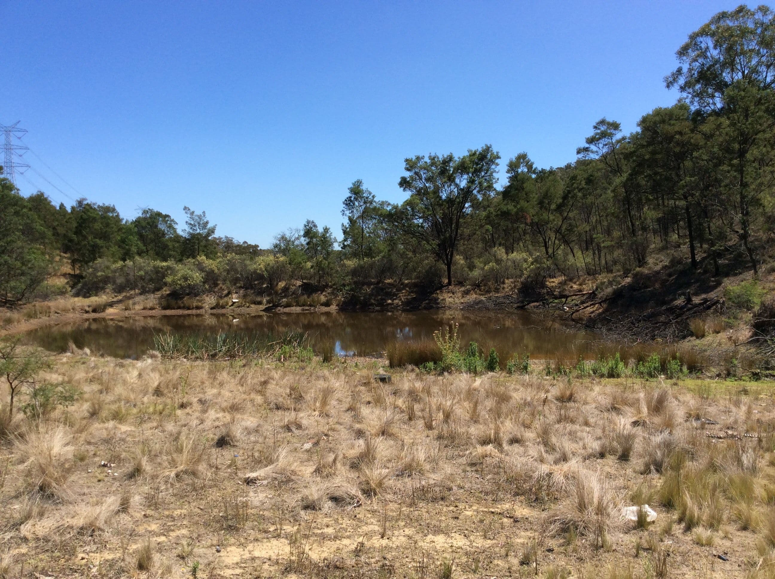 706 Newfoundland Road, Bannaby NSW 2580, Bannaby - Thumbnail 8