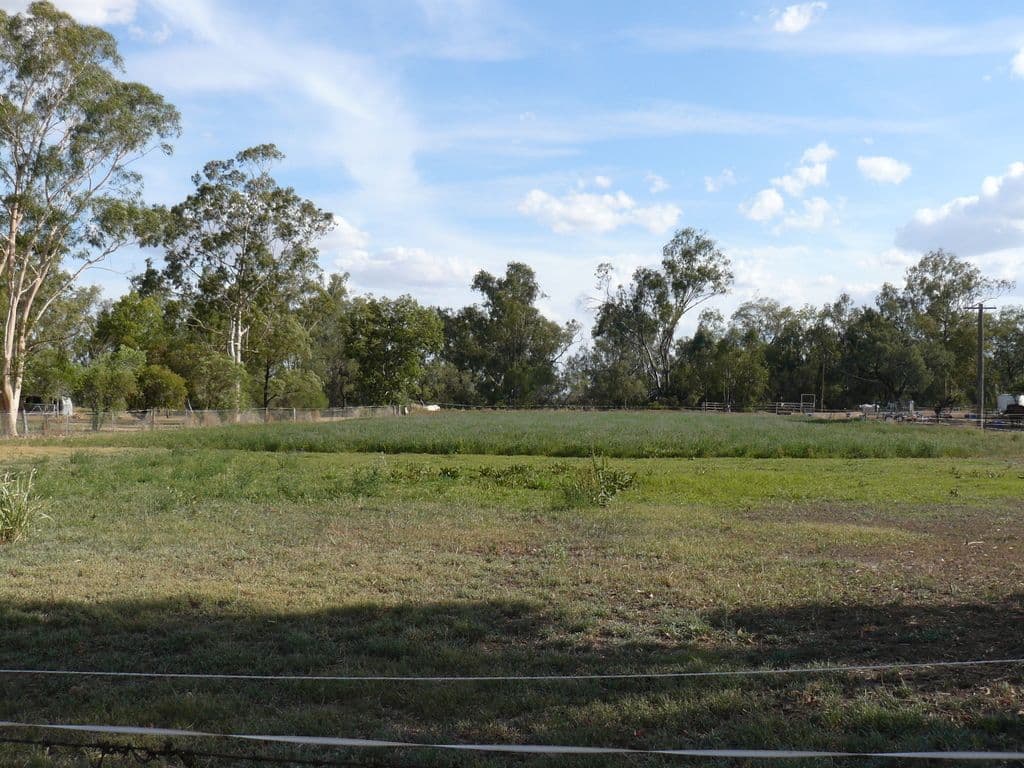 92 Warialda Street, Pallamallawa NSW 2399, Pallamallawa - Thumbnail 2