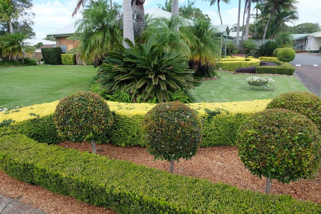 8 Homestead Street, Salamander Bay - Thumbnail 6