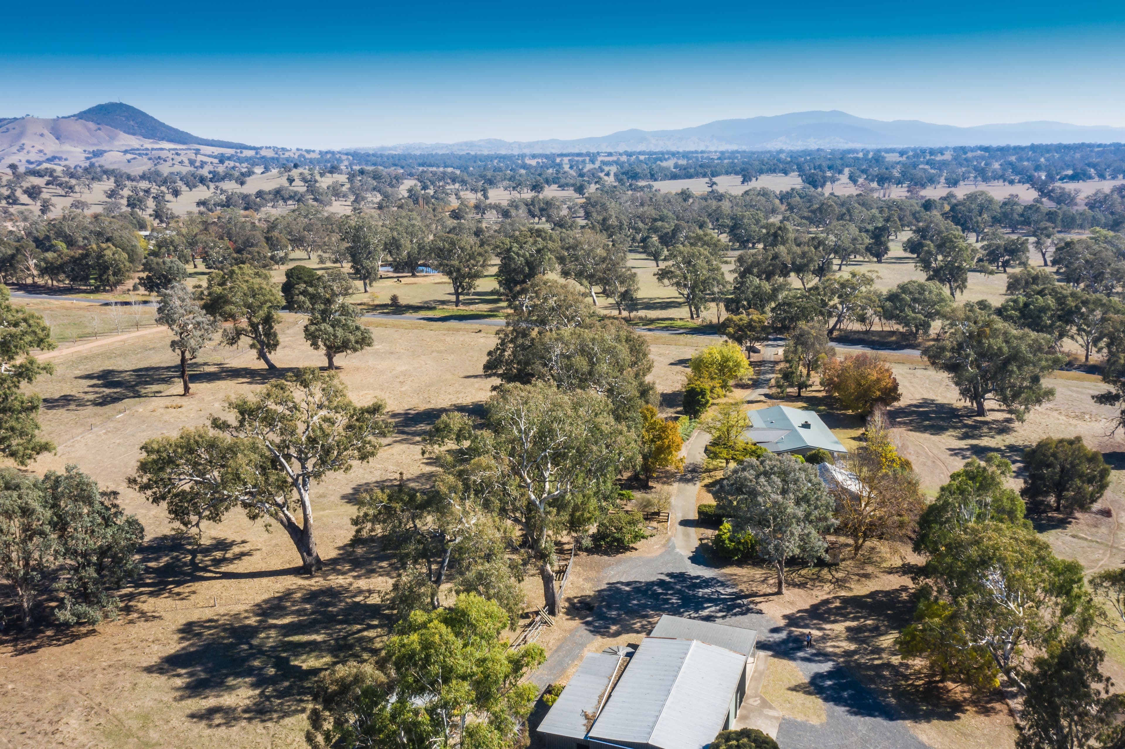 55 Howes Creek Road, Mansfield VIC 3722, Mansfield - Thumbnail 4