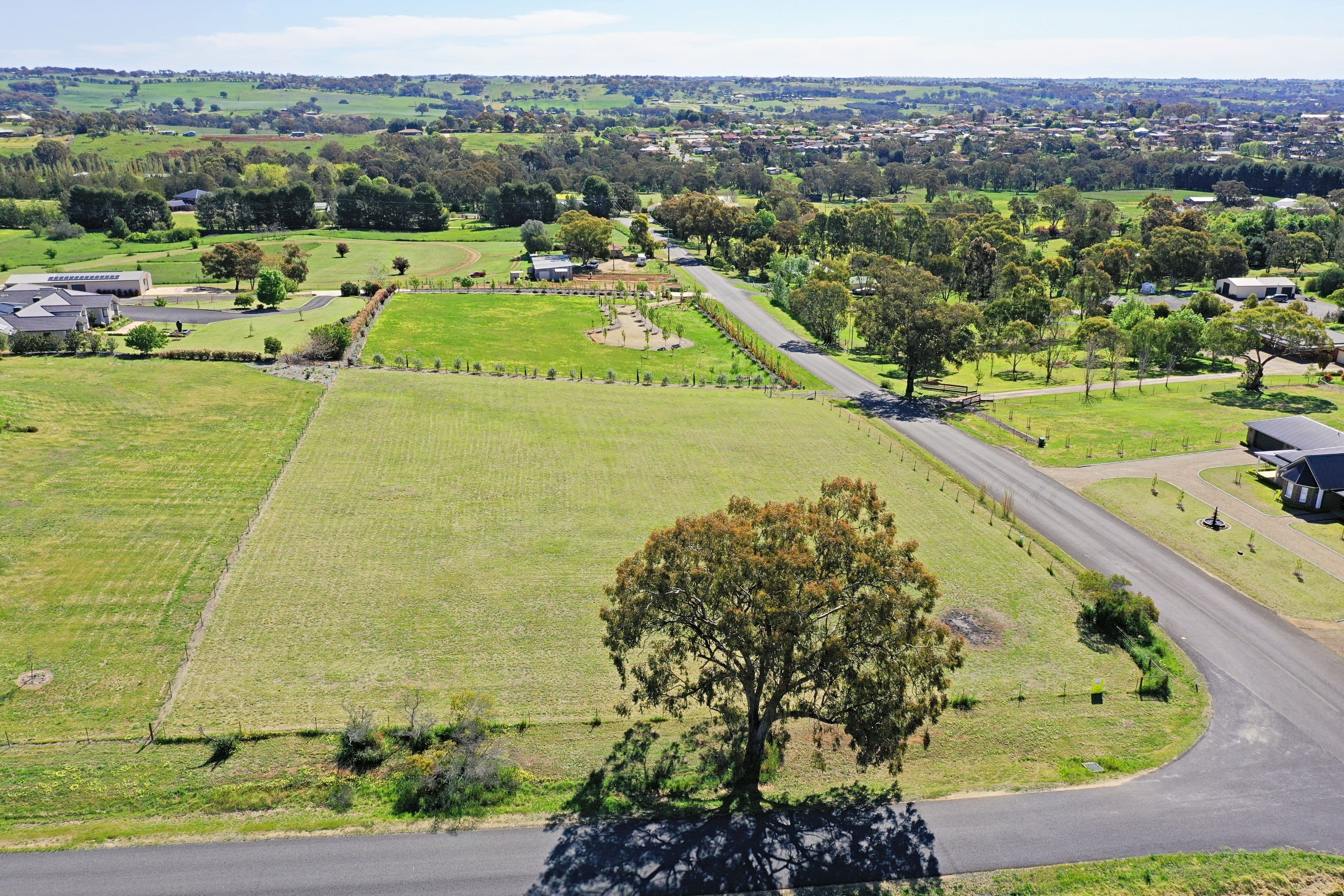 53 Windermere Street, Young NSW 2594, Young - Thumbnail 3