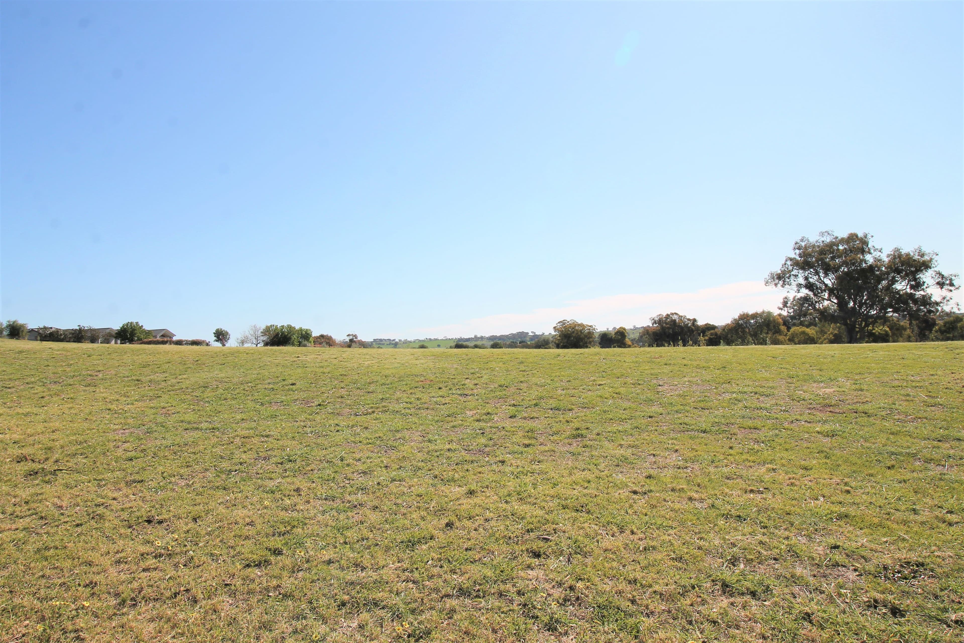 53 Windermere Street, Young NSW 2594, Young - Thumbnail 6