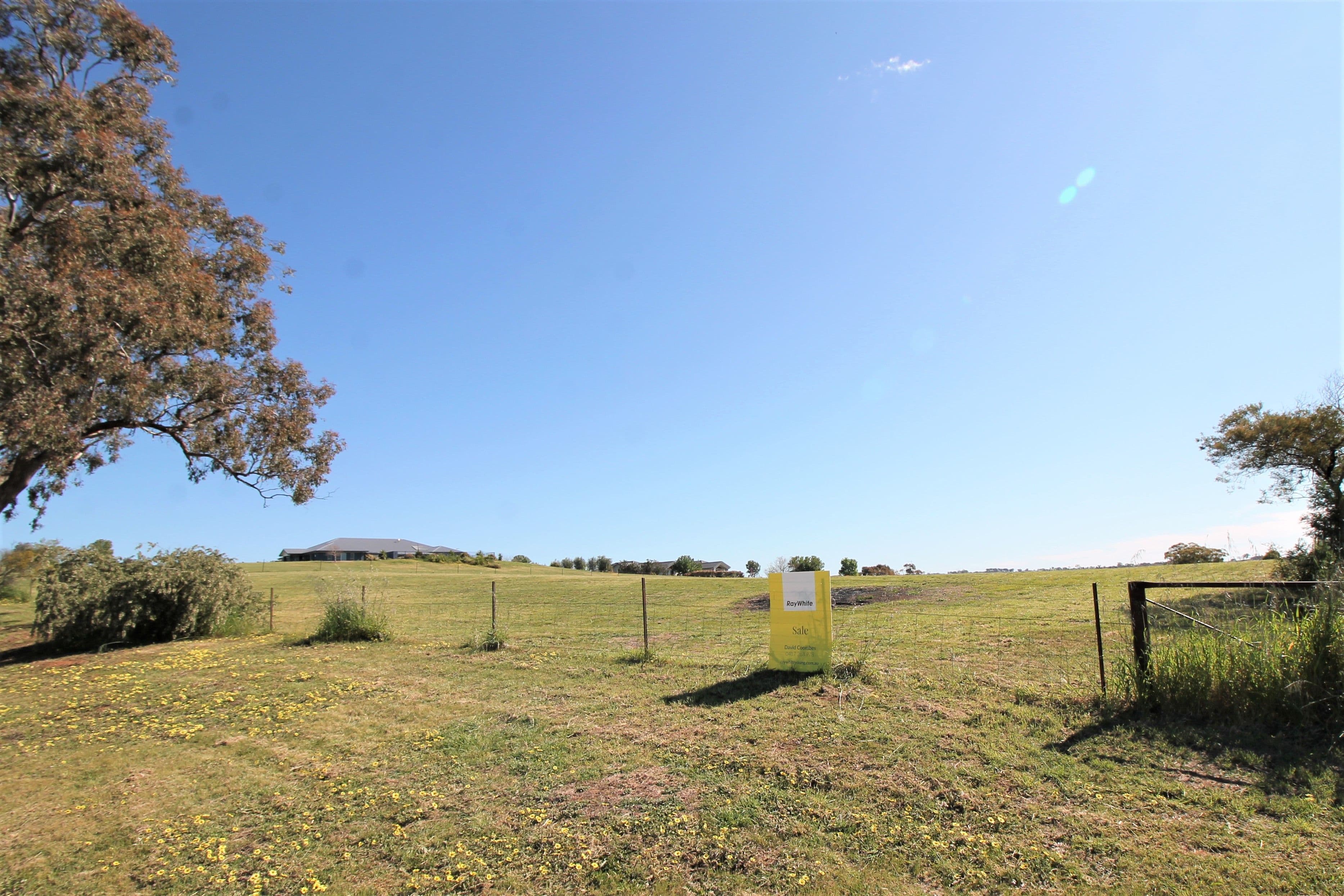 53 Windermere Street, Young NSW 2594, Young - Thumbnail 7