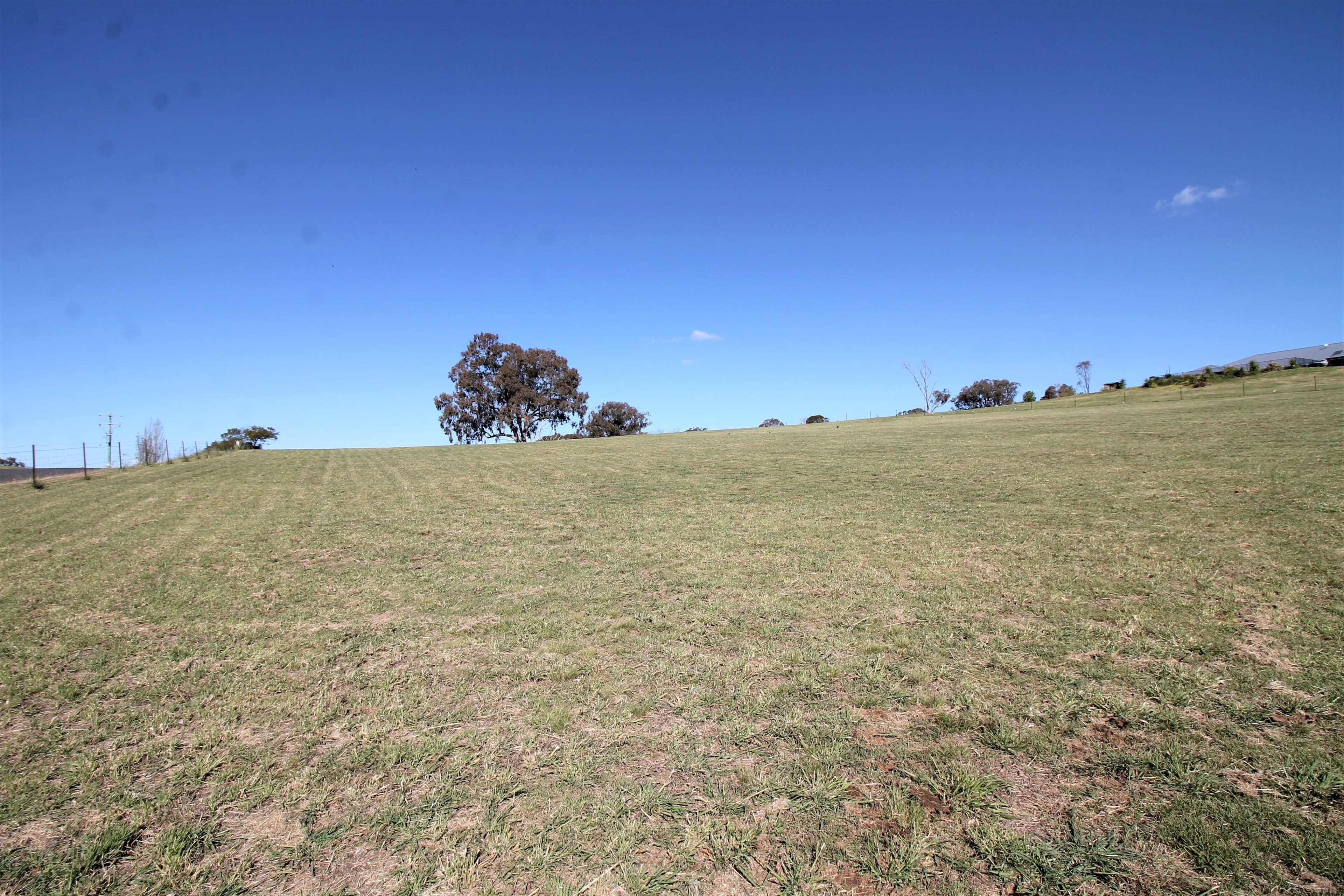 53 Windermere Street, Young NSW 2594, Young - Thumbnail 8