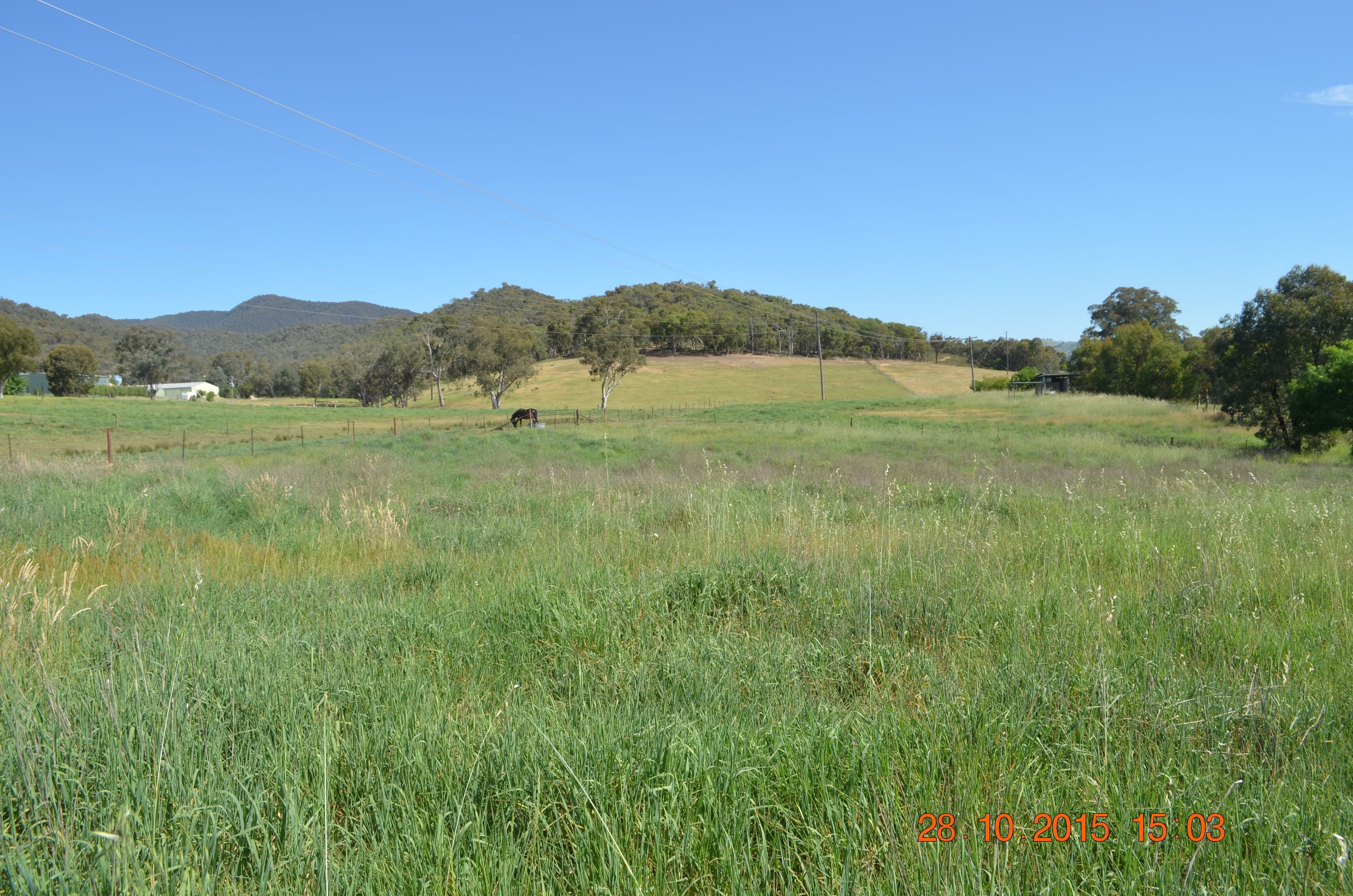 9 Sturt Close, Tumut NSW 2720, Tumut - Thumbnail 3