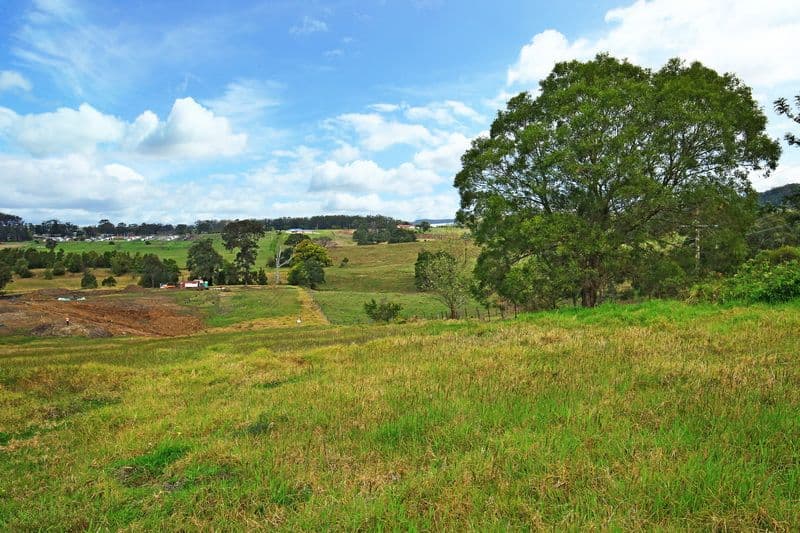 Lot 310 Huntingdale Park Estate, BERRY NSW 2535, Berry - Thumbnail 4