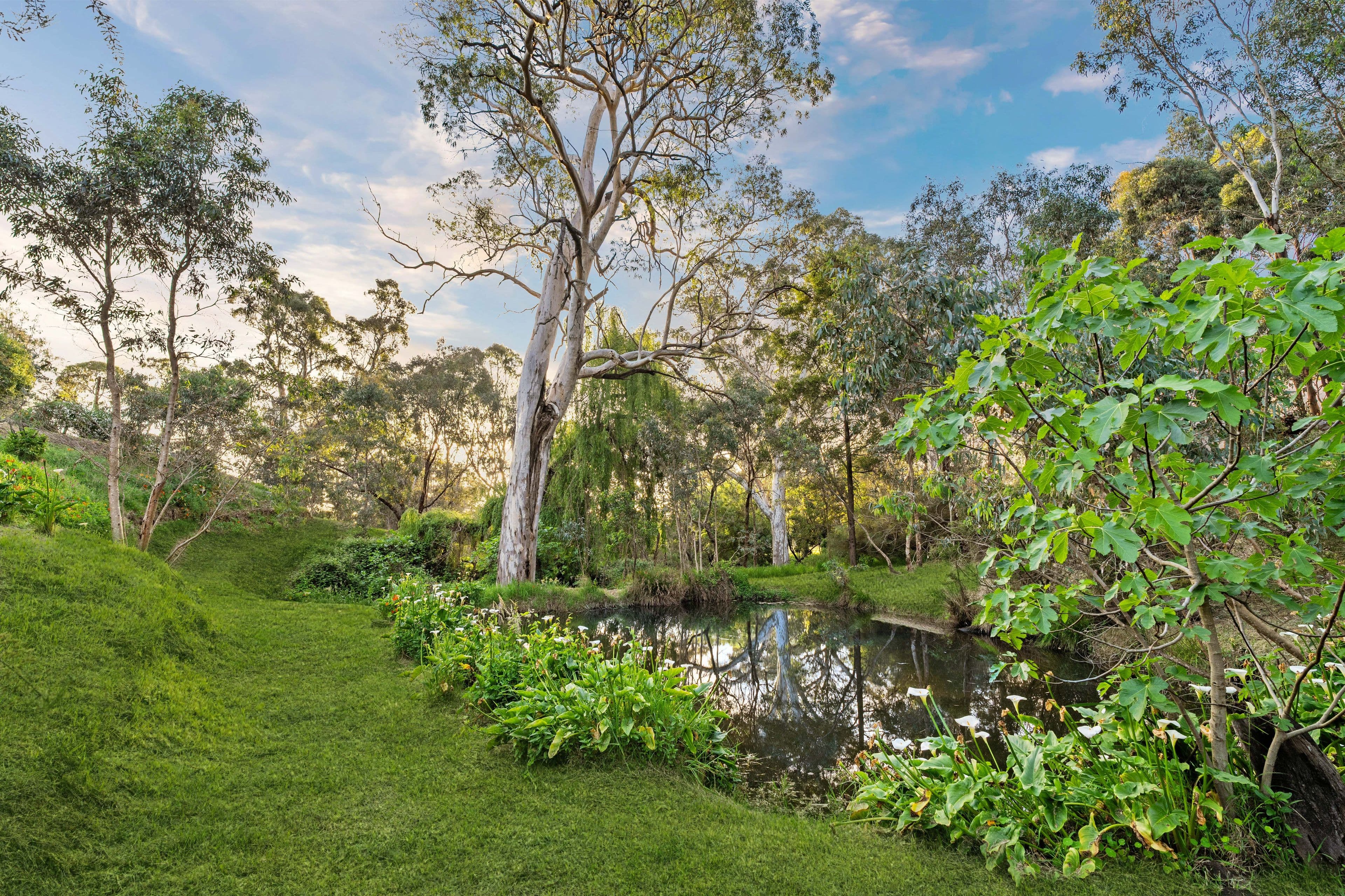 33 Cut Hill Road, Kangarilla SA 5157, Kangarilla - Image 1