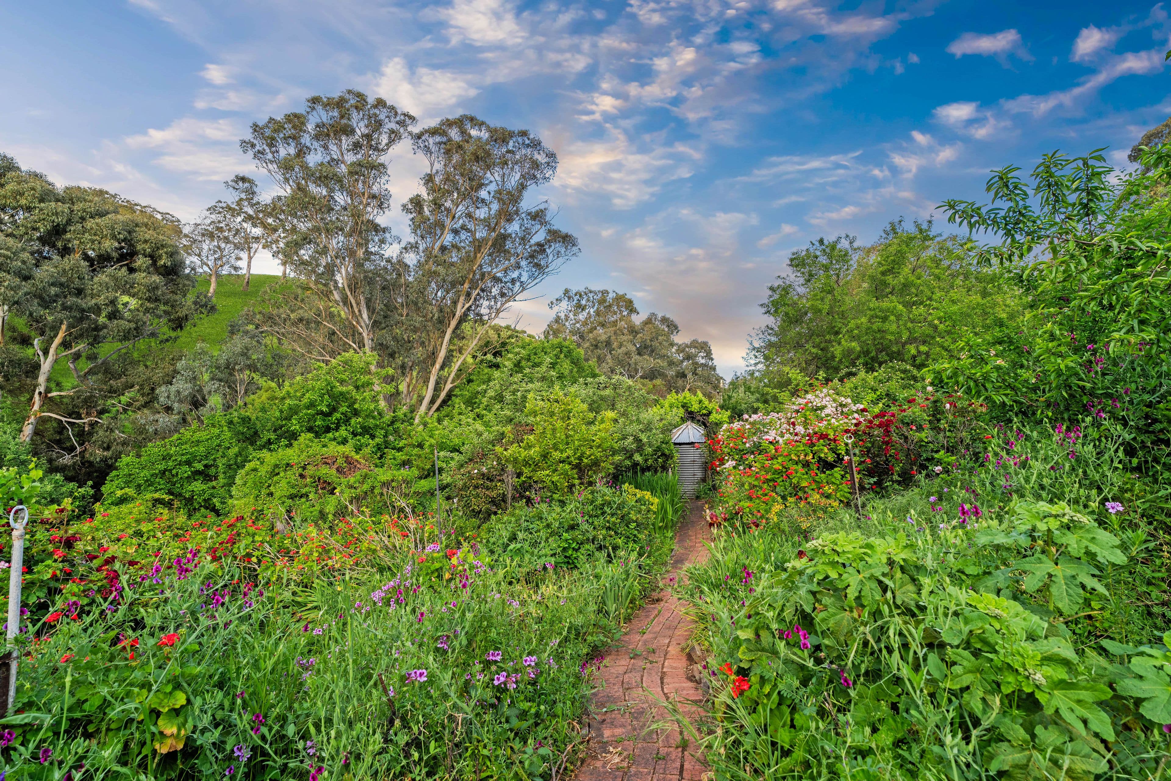 33 Cut Hill Road, Kangarilla SA 5157, Kangarilla - Thumbnail 5