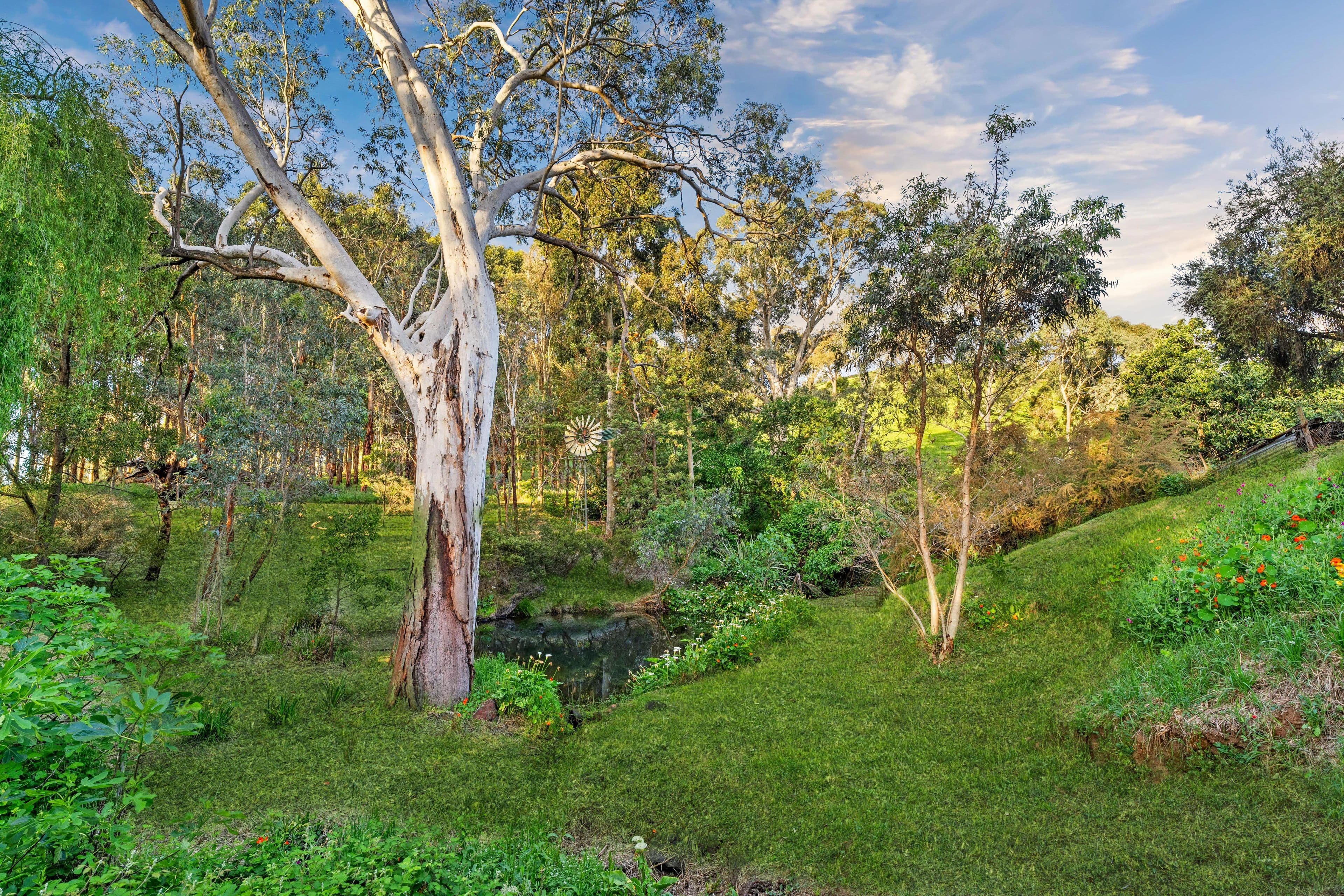 33 Cut Hill Road, Kangarilla SA 5157, Kangarilla - Thumbnail 6