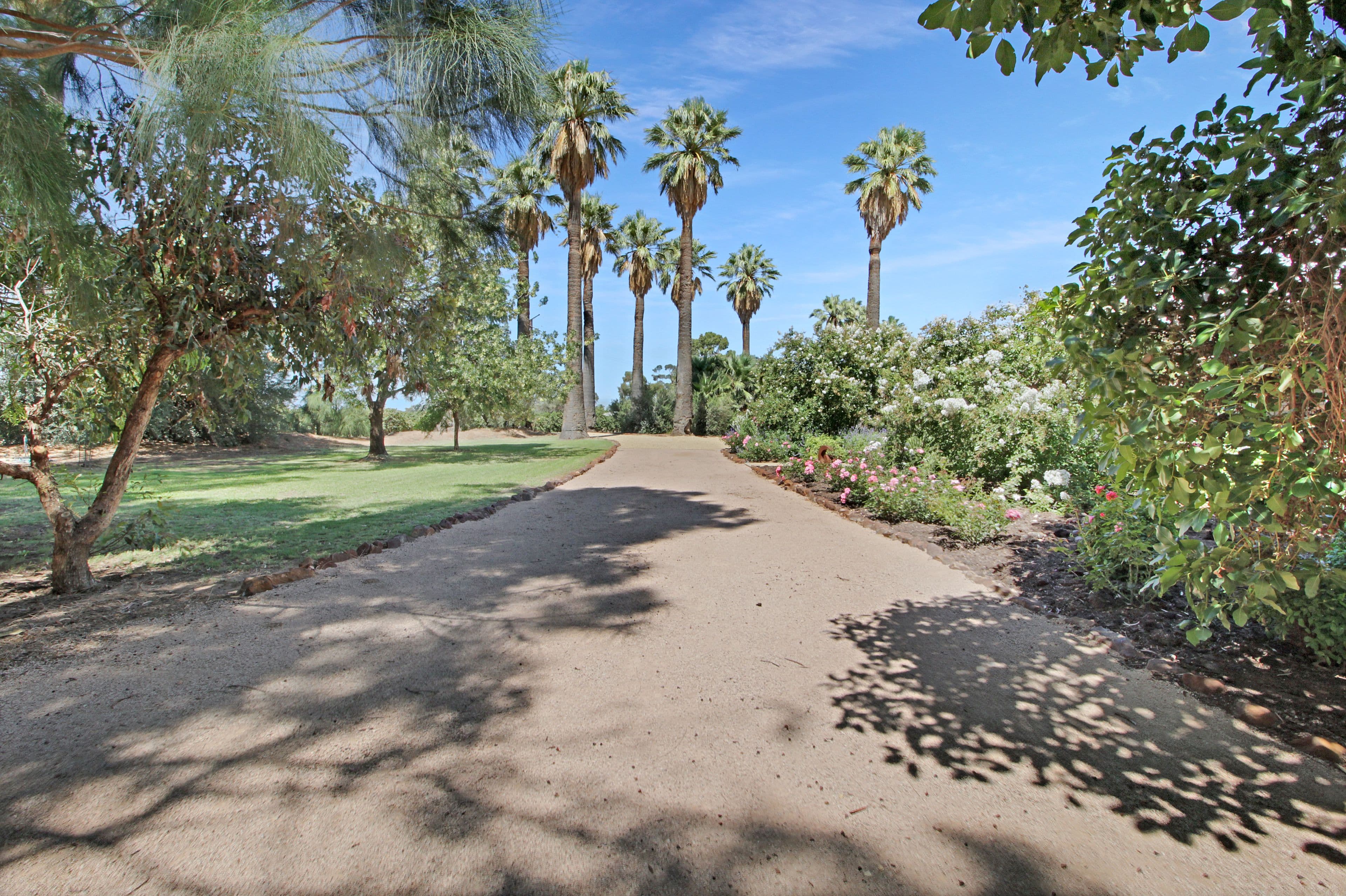 7 Etiwanda Street, Renmark SA 5341, Renmark West - Thumbnail 2