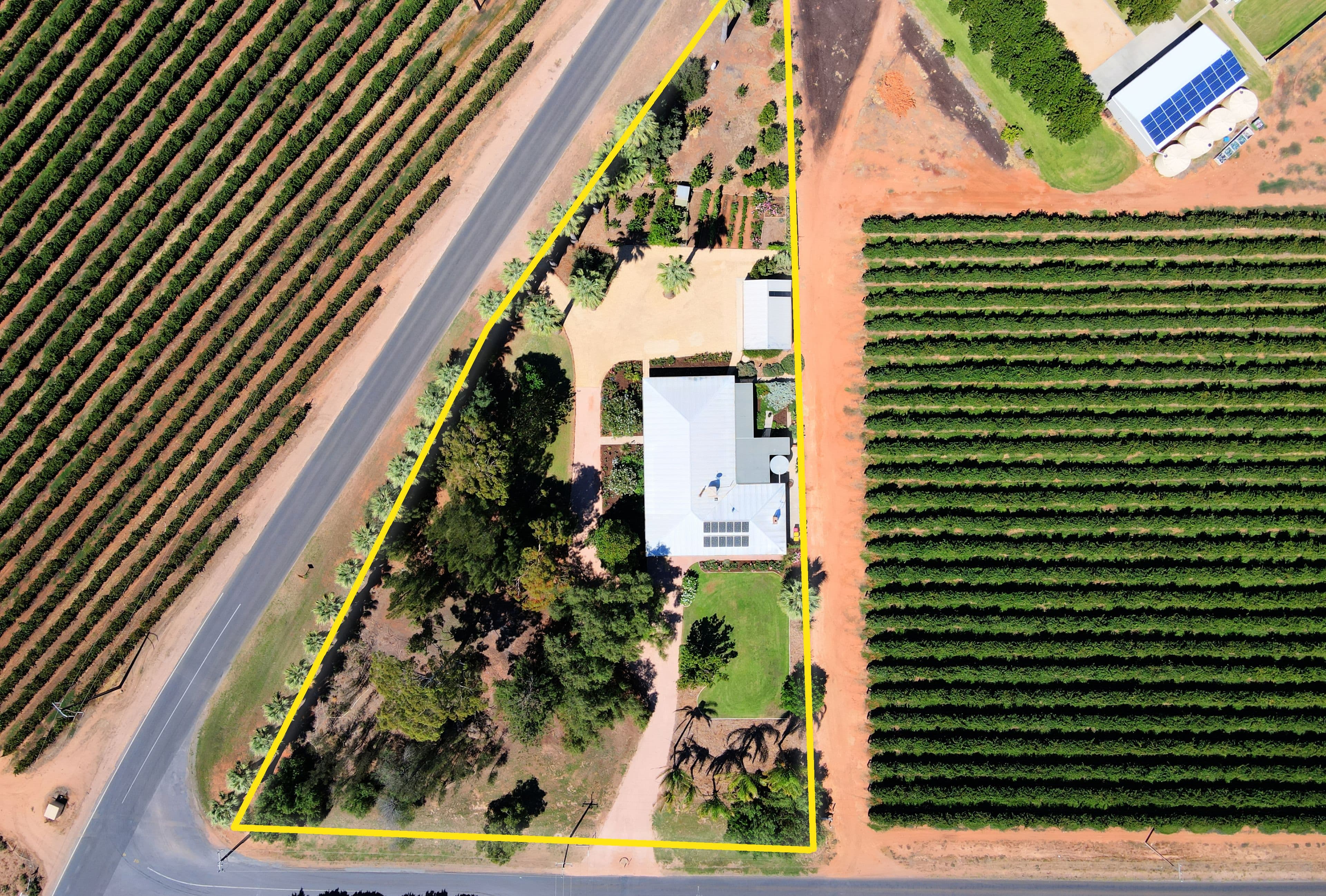7 Etiwanda Street, Renmark SA 5341, Renmark West - Thumbnail 4