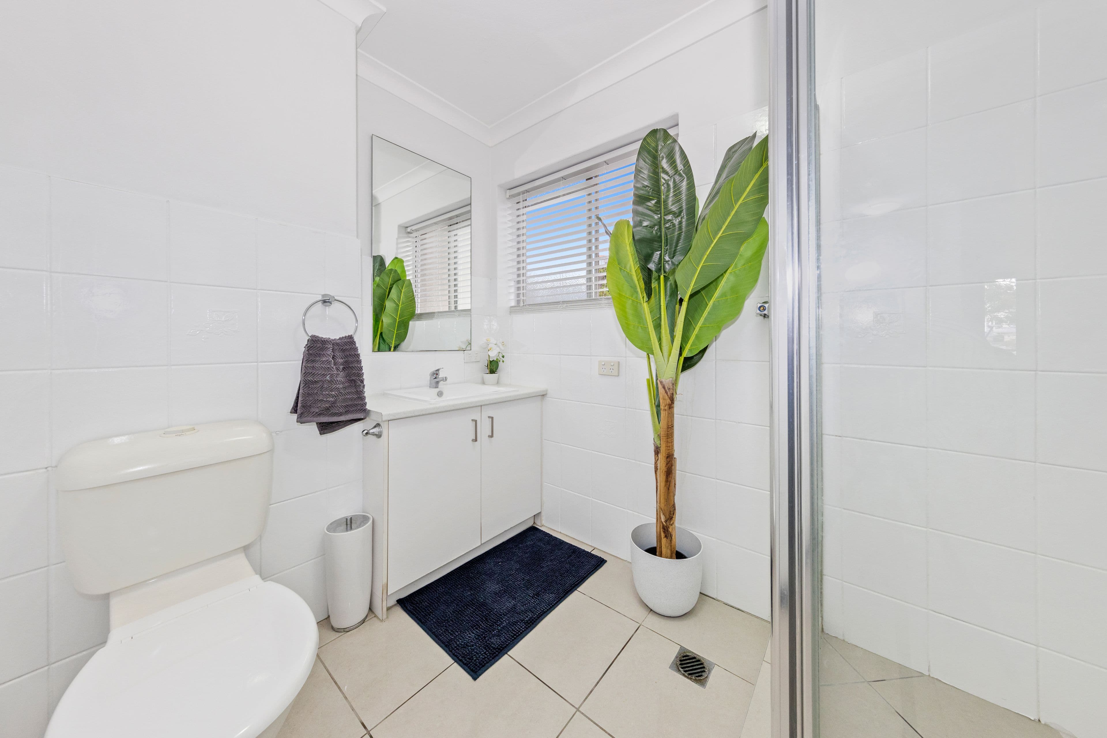 1 Cintra Road, Bowen Hills QLD 4006, Bowen Hills - Thumbnail 8