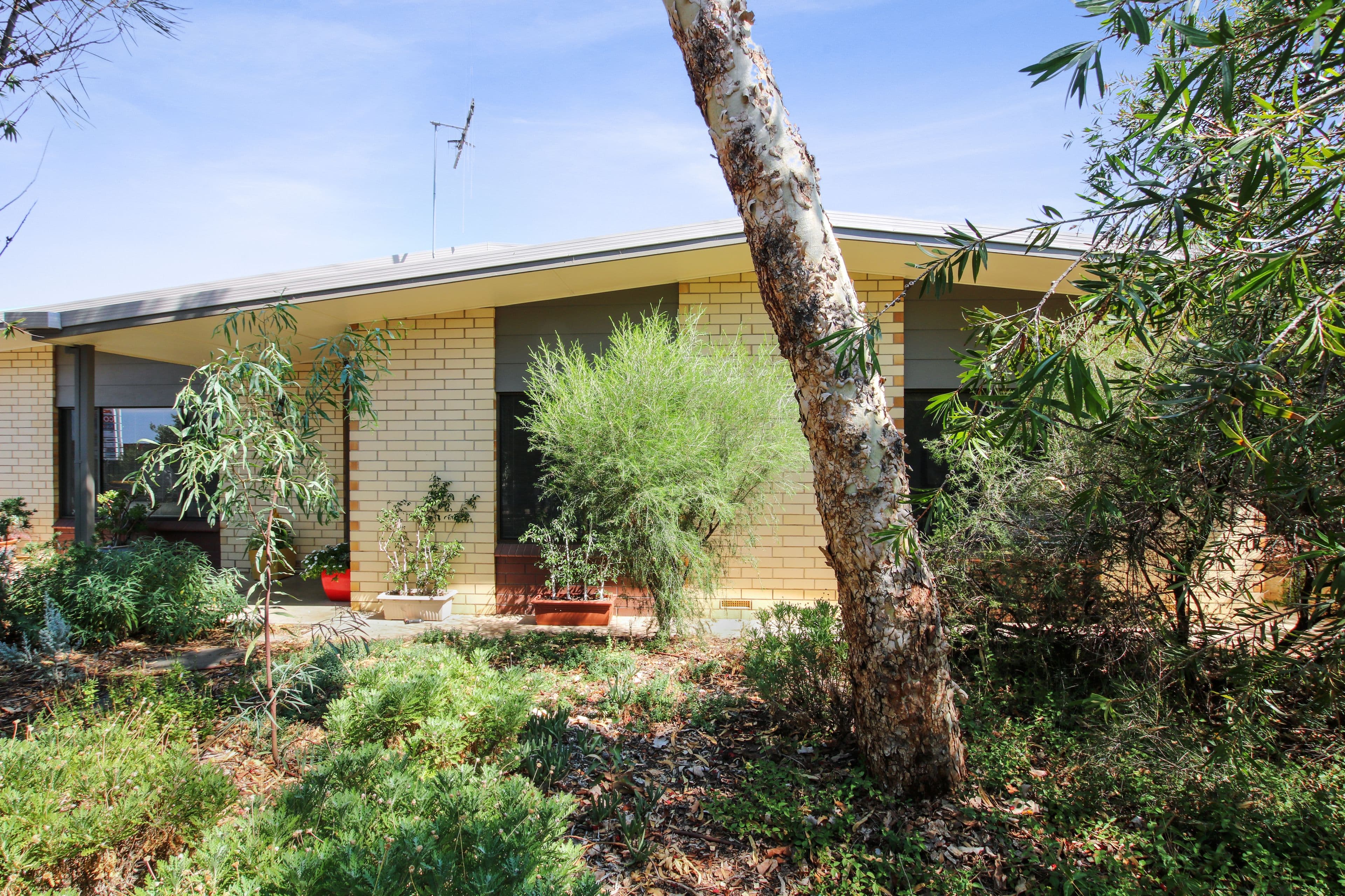 3 Sandercock Street, Berri SA 5343, Berri - Image 1