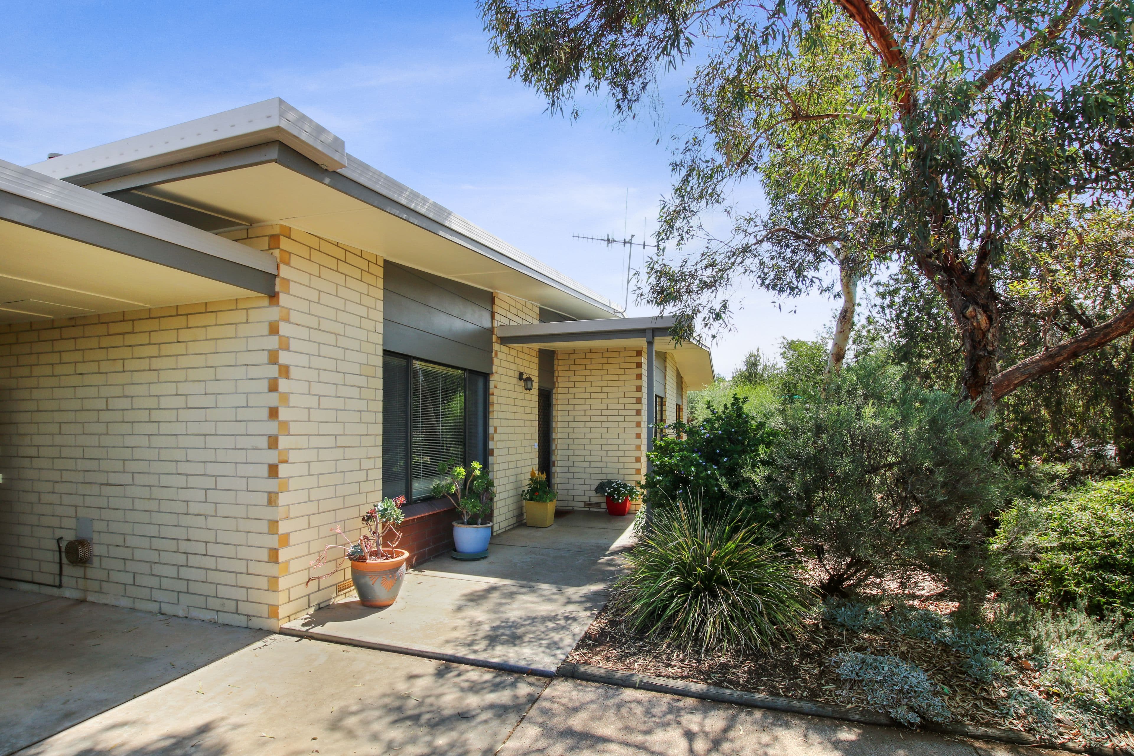 3 Sandercock Street, Berri SA 5343, Berri - Thumbnail 2