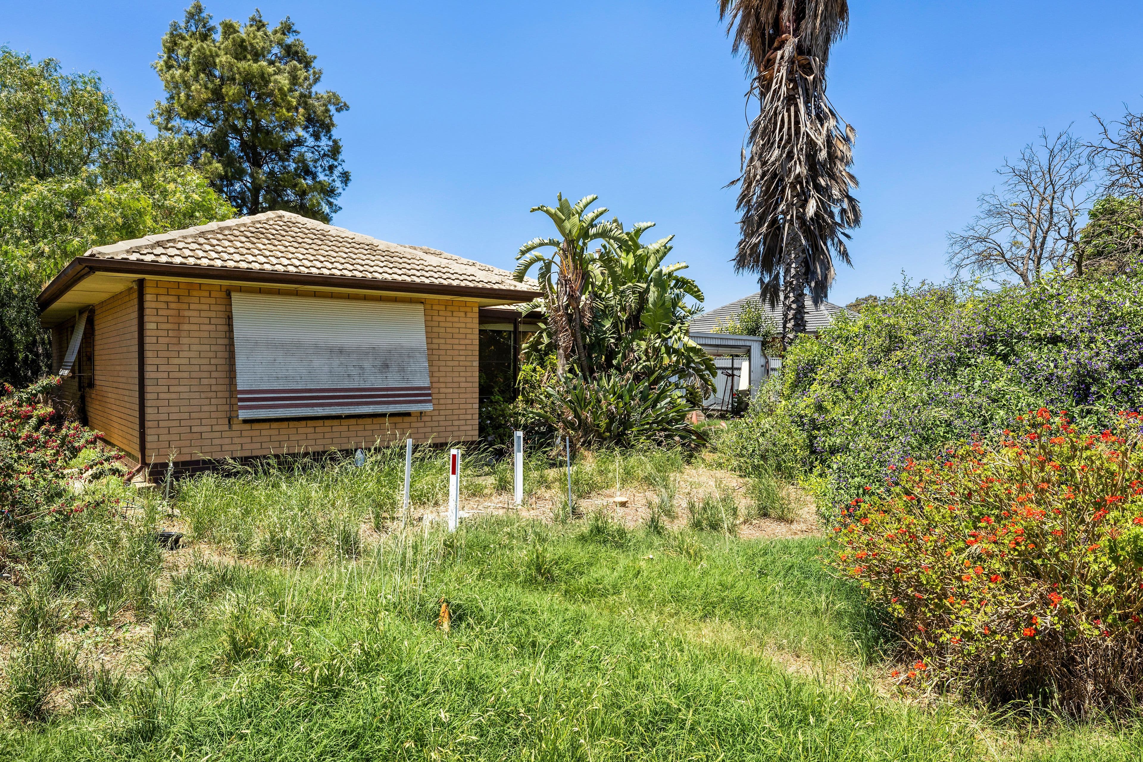 8 Parkers Road, Gawler Belt SA 5118, Gawler Belt - Thumbnail 6