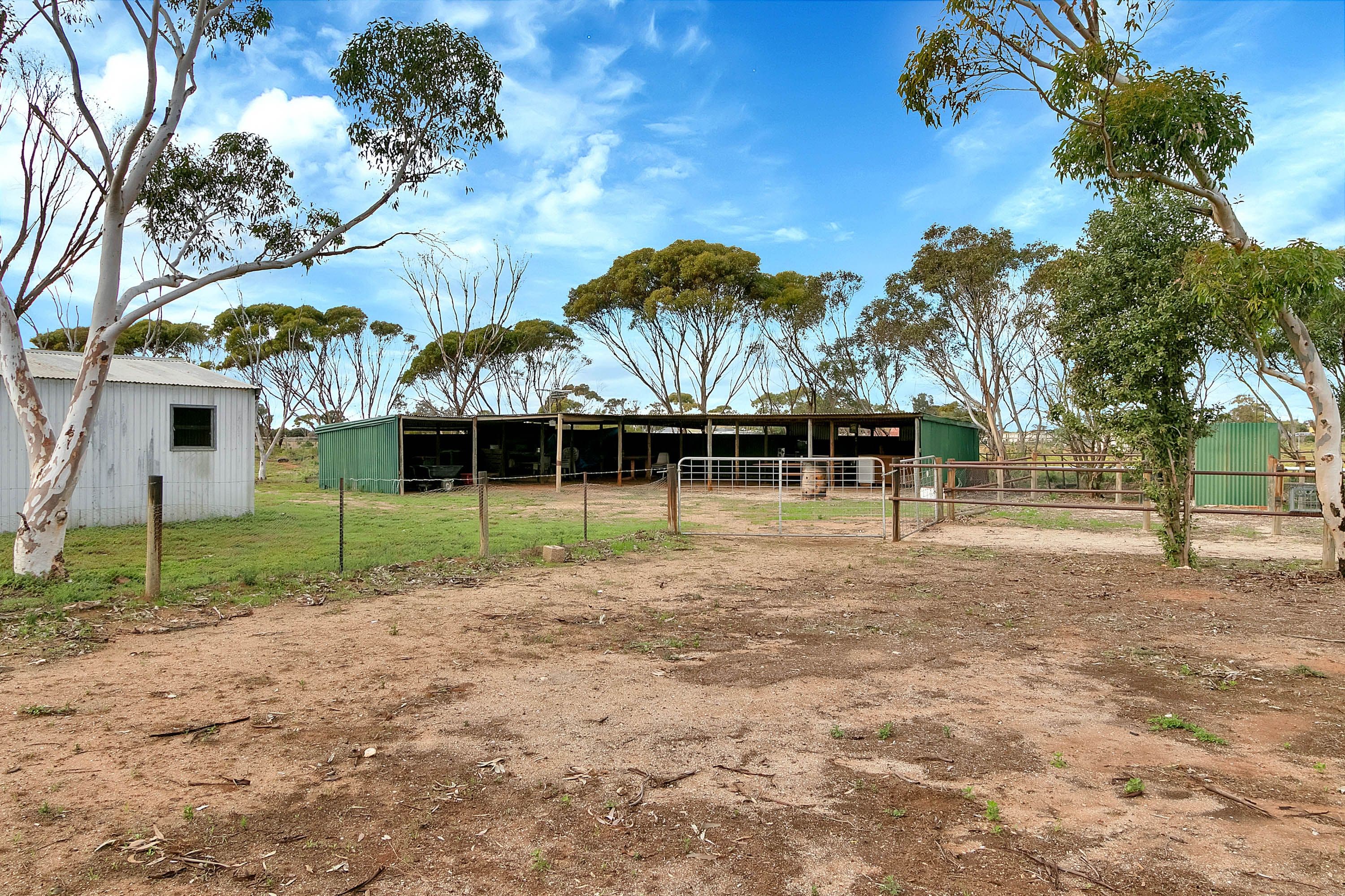77 Lowey Road, Windsor SA 5501, Windsor - Thumbnail 3