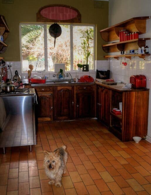 4 Fisher Street, MAGILL SA 5072, Magill - Thumbnail 2