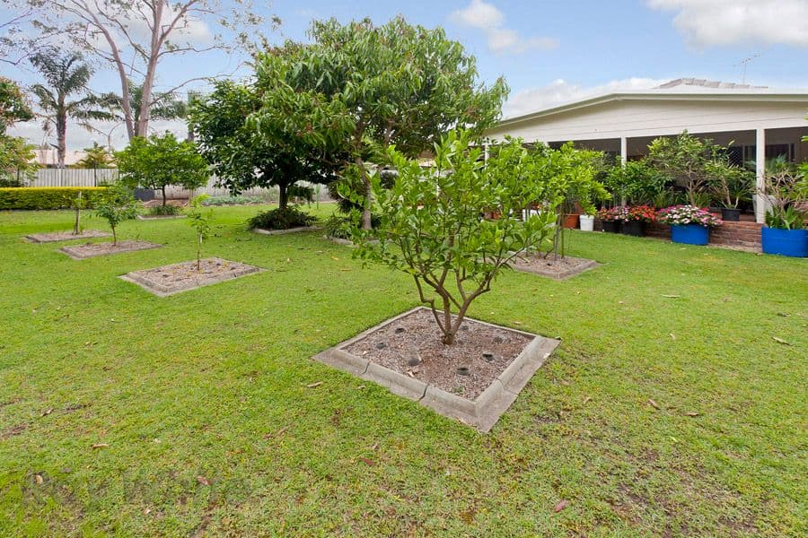 8 Lambrook Court, CAMIRA QLD 4300, Camira - Thumbnail 7