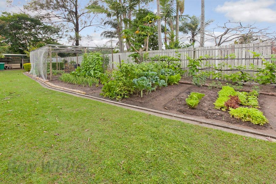 8 Lambrook Court, CAMIRA QLD 4300, Camira - Thumbnail 8