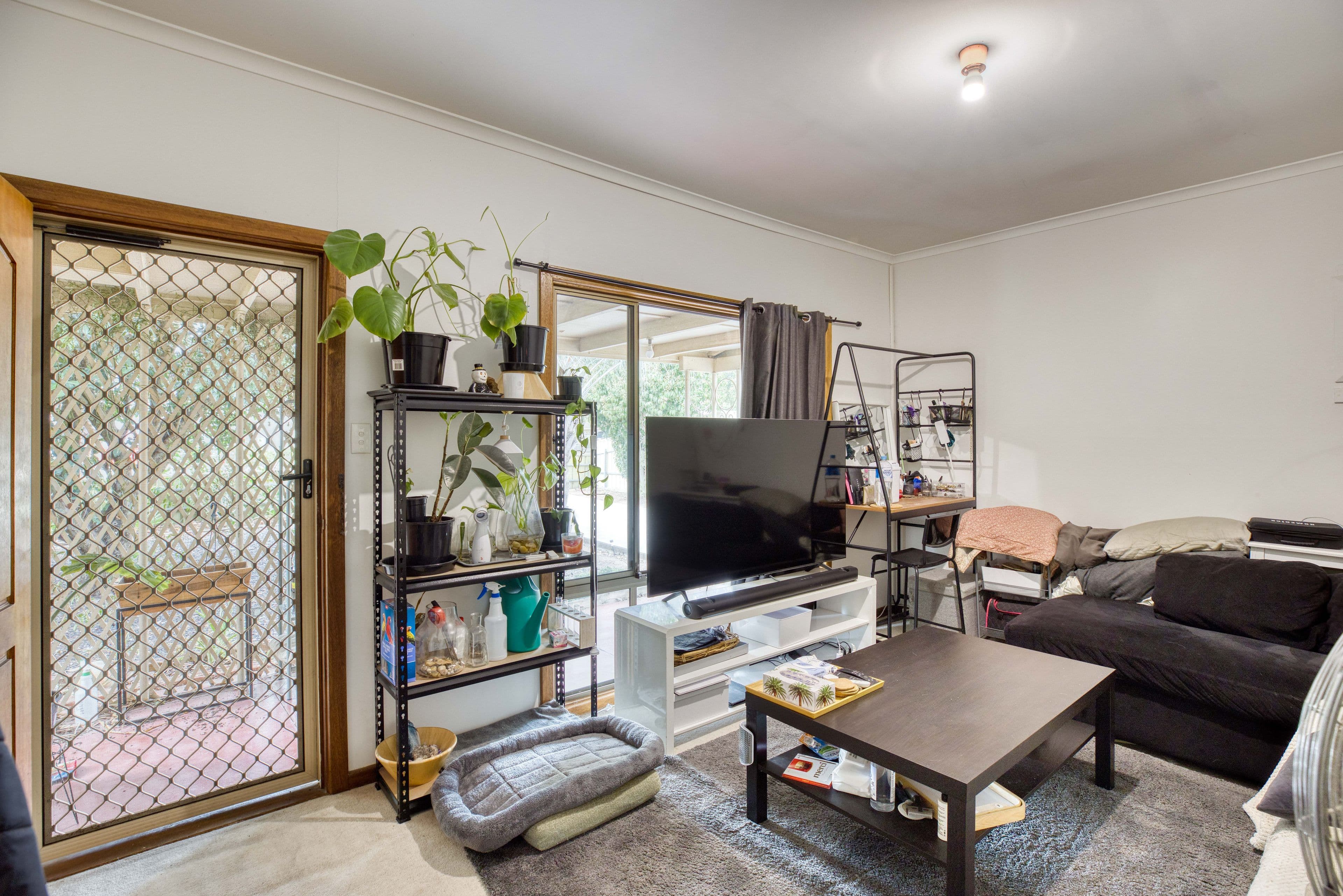 58 Dorene Street, St Marys SA 5042, St Marys - Thumbnail 2