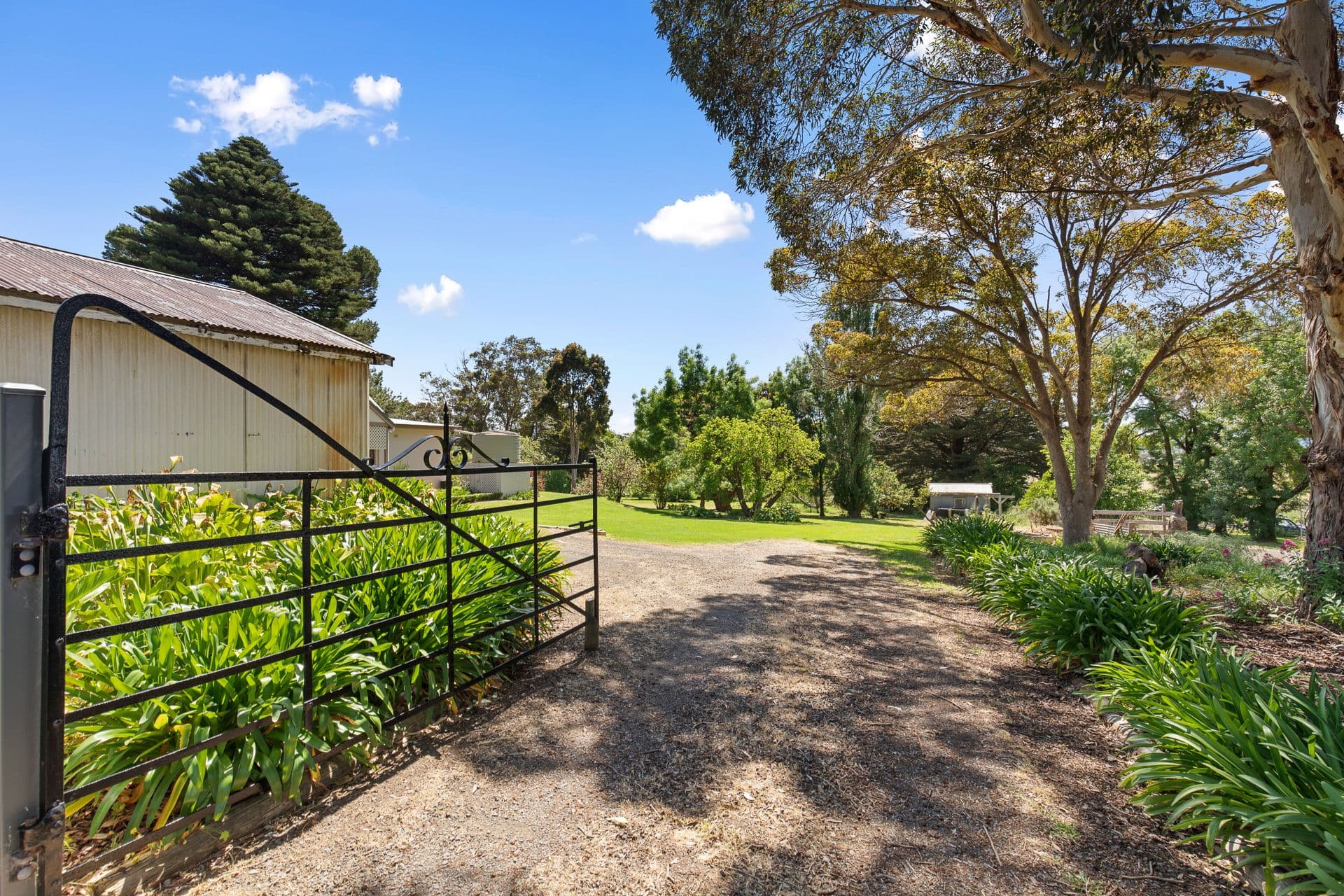 7 Emily Street, Millicent SA 5280, Millicent - Thumbnail 2