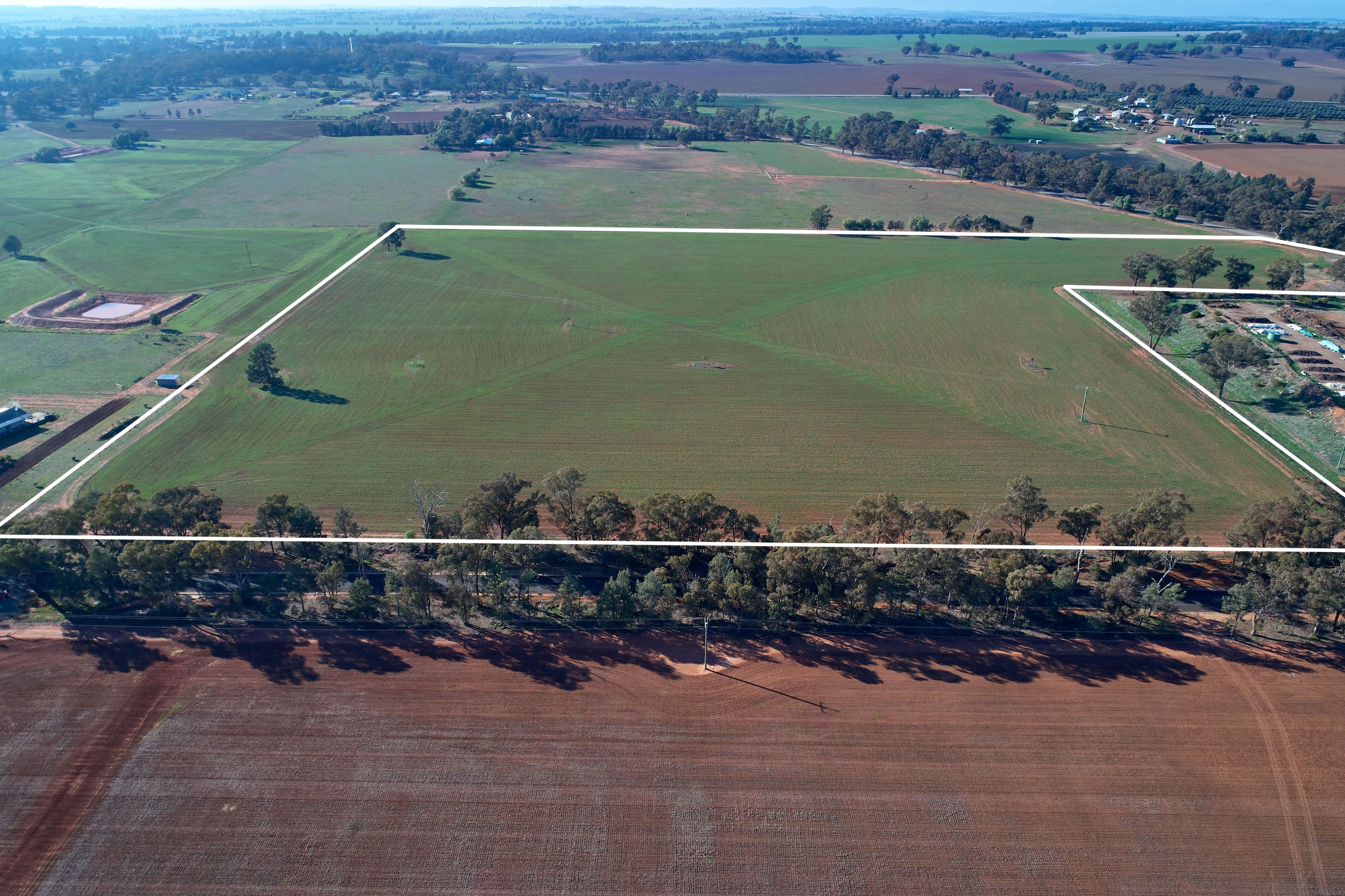 Lot 2 Cains Lane, Coolamon NSW 2701, Coolamon - Image 1