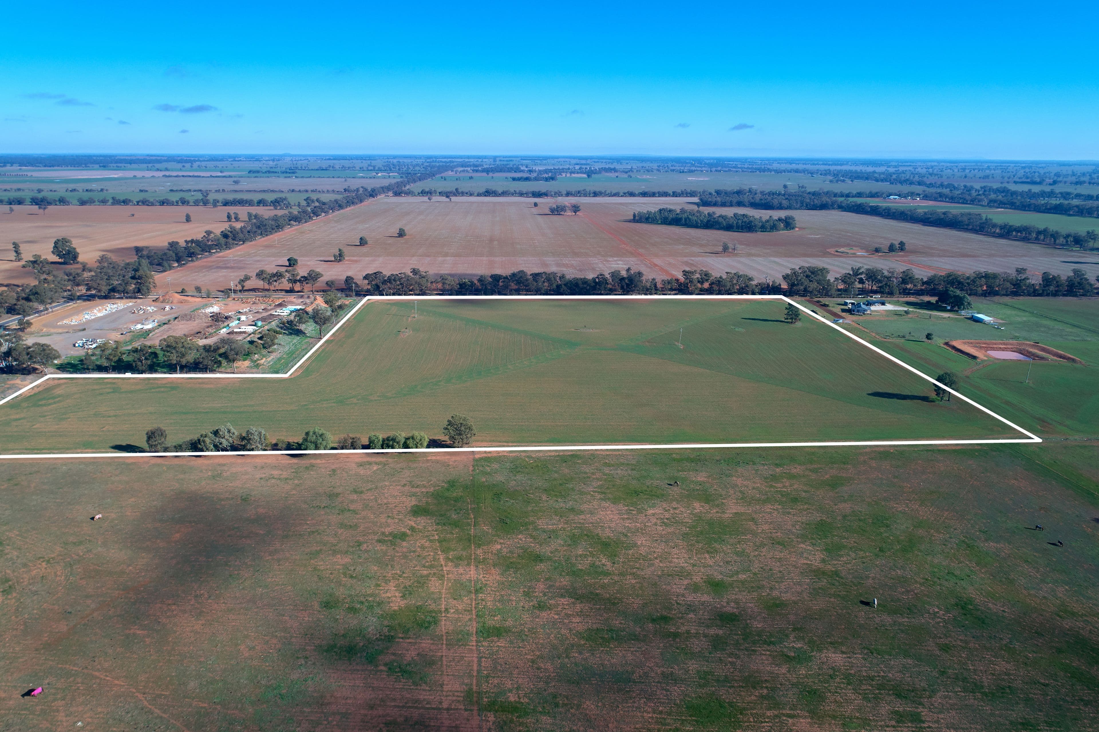 Lot 2 Cains Lane, Coolamon NSW 2701, Coolamon - Thumbnail 3