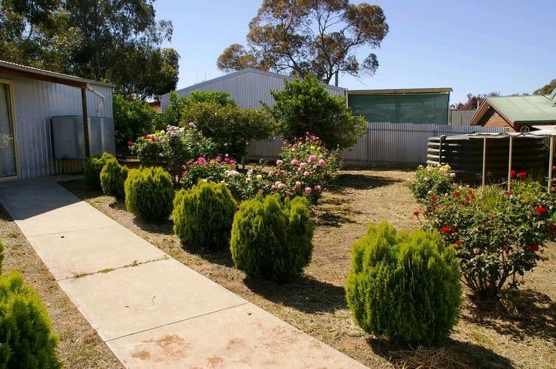 47 Hughes Avenue, Paringa SA 5340, Paringa - Thumbnail 7
