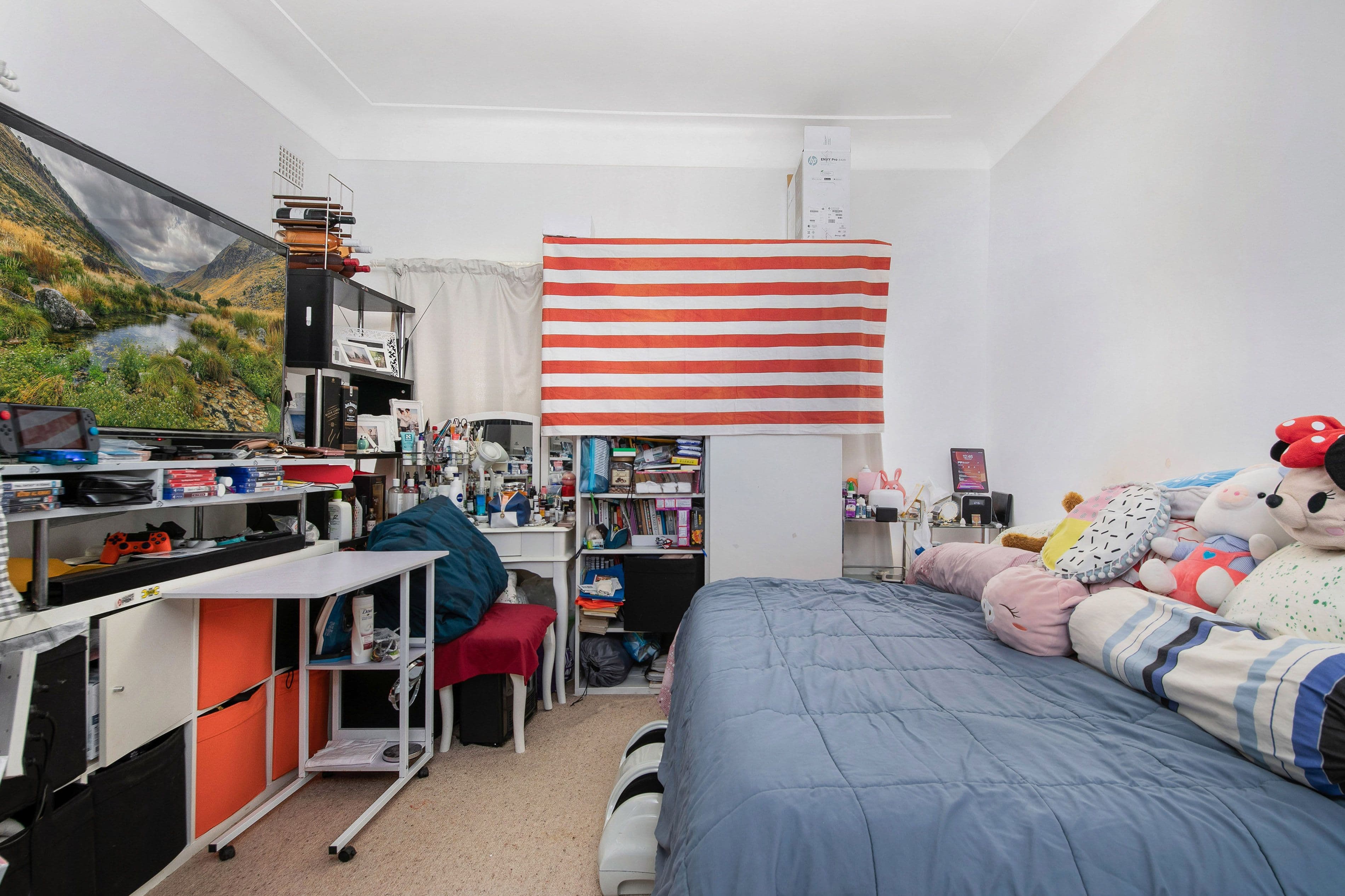 29 Webb Street, Riverwood NSW 2210, Riverwood - Thumbnail 6