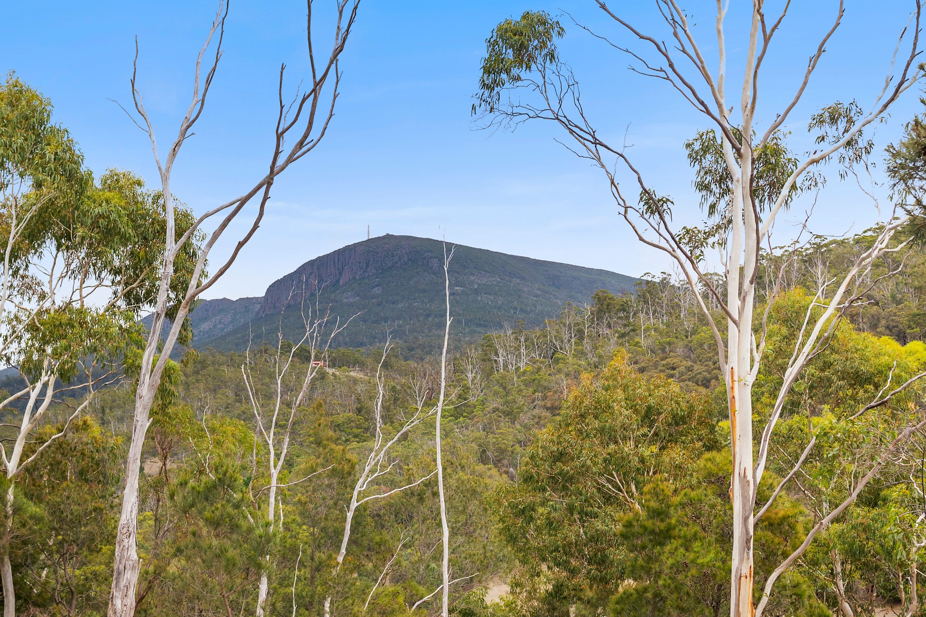 Lot 2, 70 Brushy Creek Road, Lenah Valley TAS 7008, Lenah Valley - Image 1