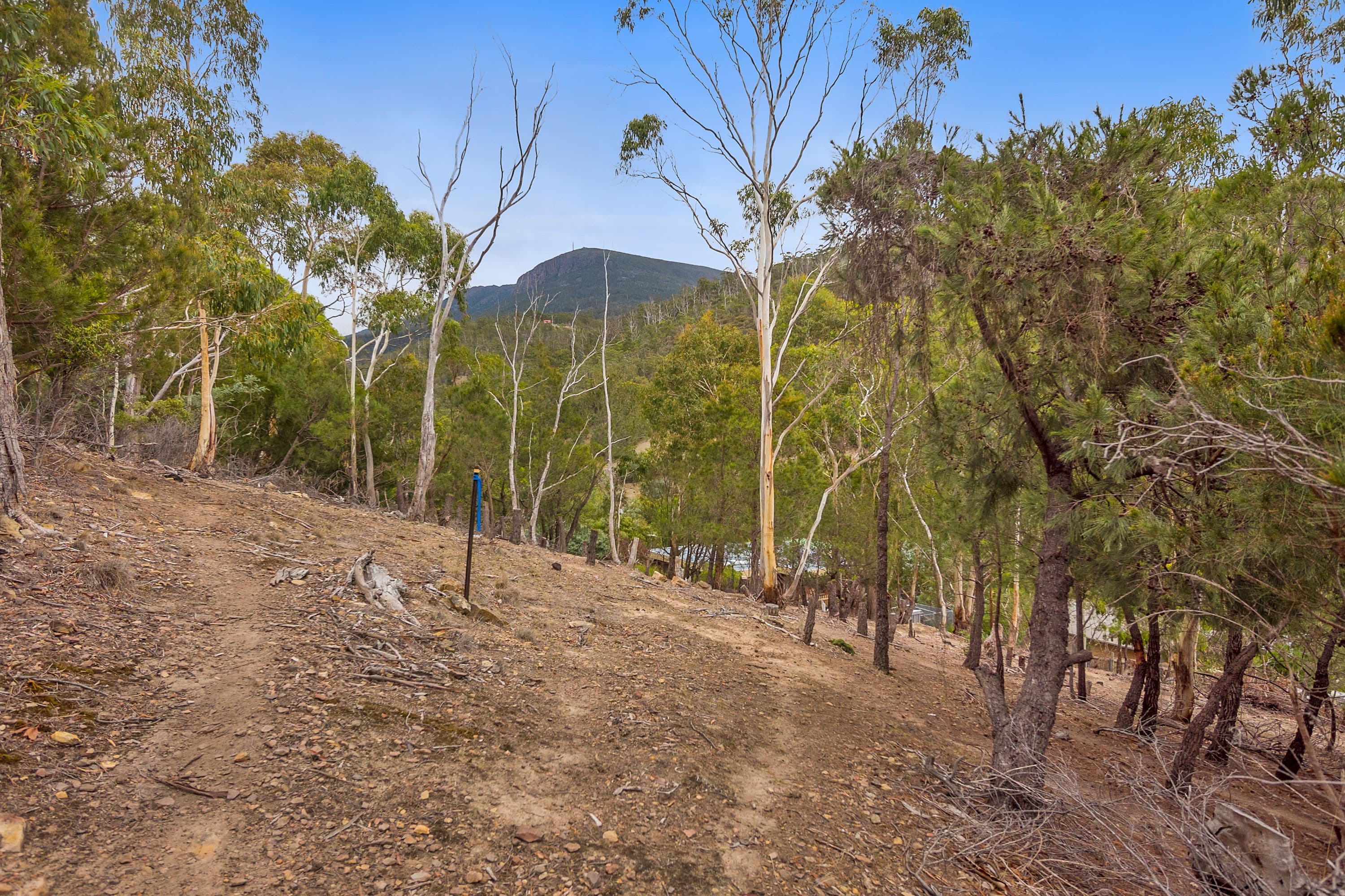 Lot 2, 70 Brushy Creek Road, Lenah Valley TAS 7008, Lenah Valley - Thumbnail 3