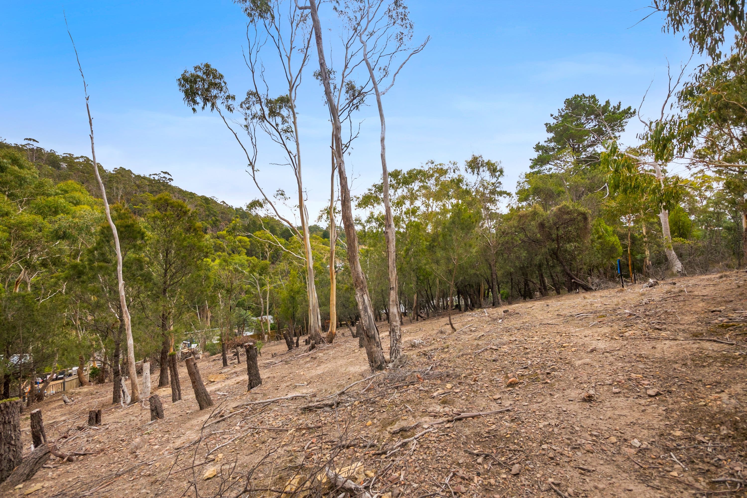 Lot 2, 70 Brushy Creek Road, Lenah Valley TAS 7008, Lenah Valley - Thumbnail 5