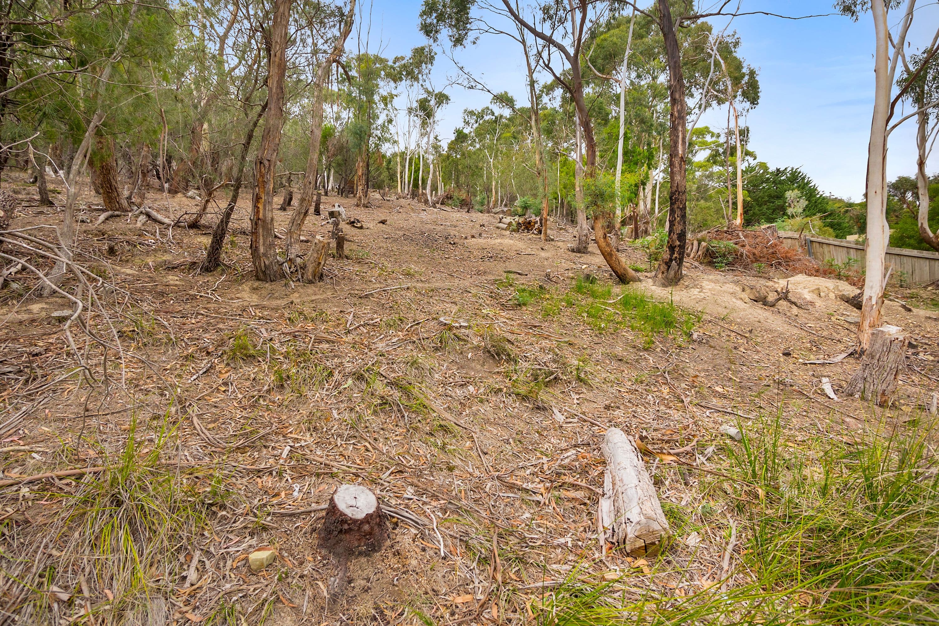 Lot 2, 70 Brushy Creek Road, Lenah Valley TAS 7008, Lenah Valley - Thumbnail 6
