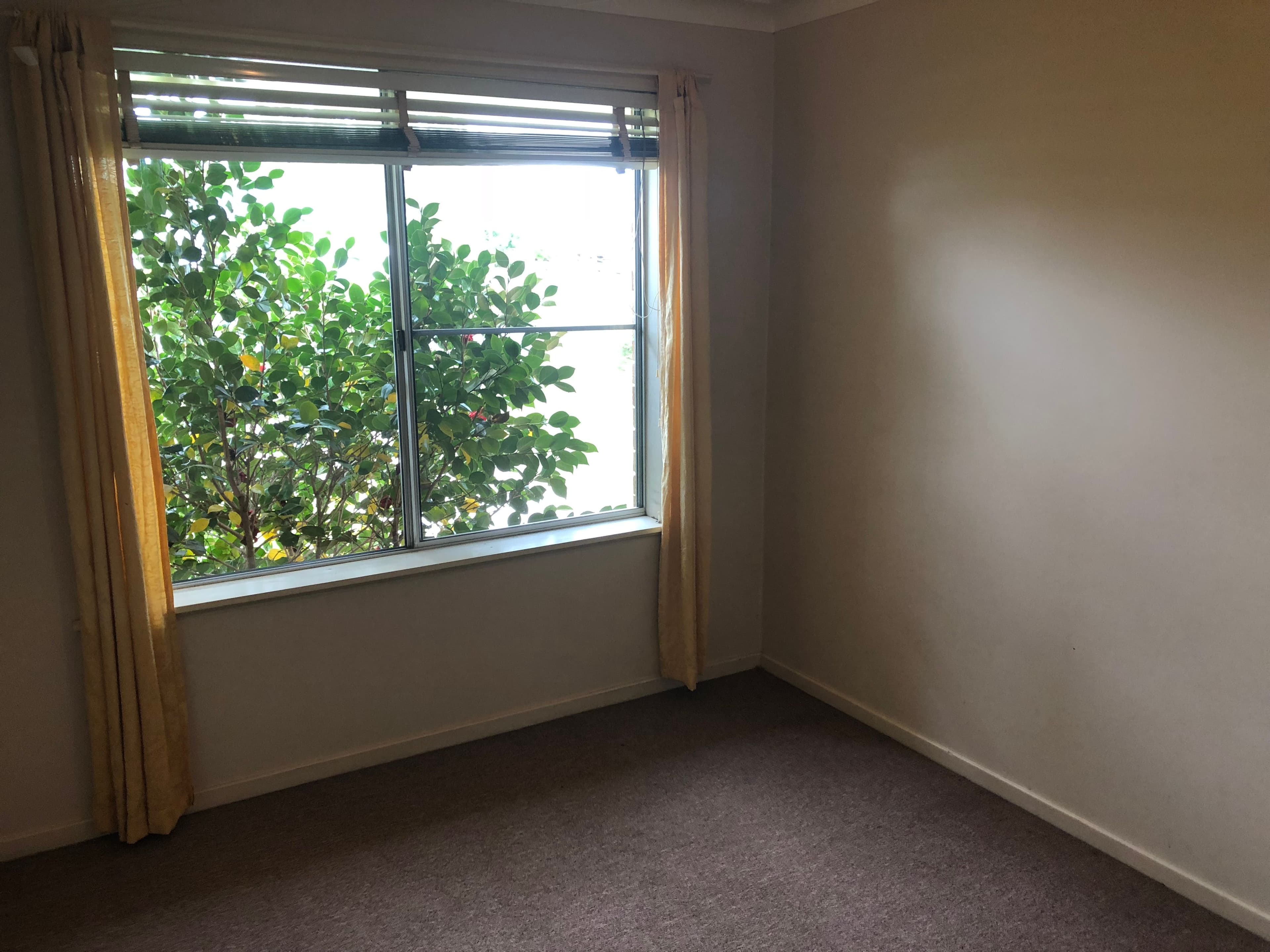 98 Oliver Street, Glen Innes - Thumbnail 7