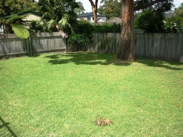 43 Cogra Road, WOY WOY NSW 2256, Woy Woy - Thumbnail 5