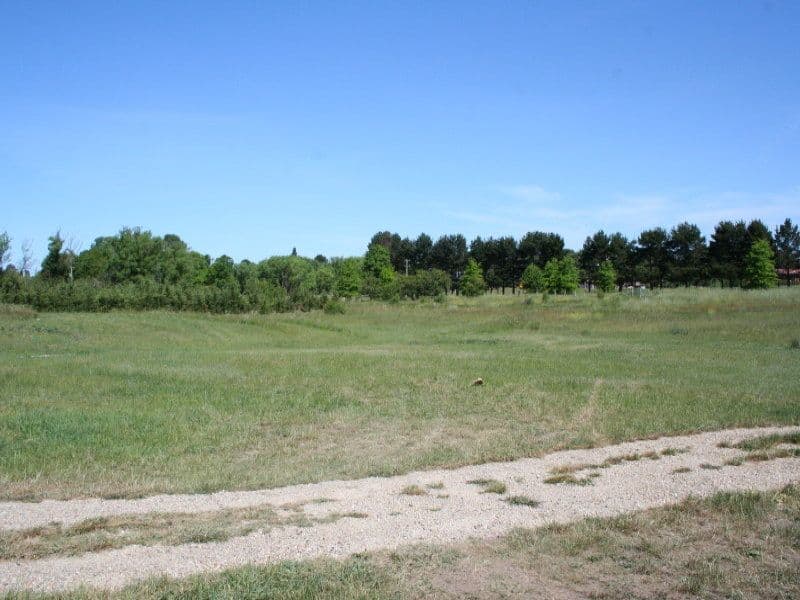 20 Glenmore Road, BRAIDWOOD NSW 2622, Braidwood - Thumbnail 2